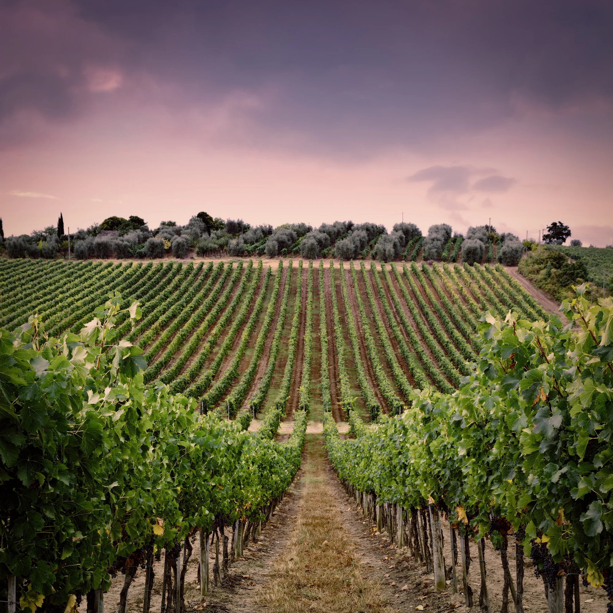 Zájezd do Florencie: noc v hotelu se snídaní, památky i degustace vín, doprava busem