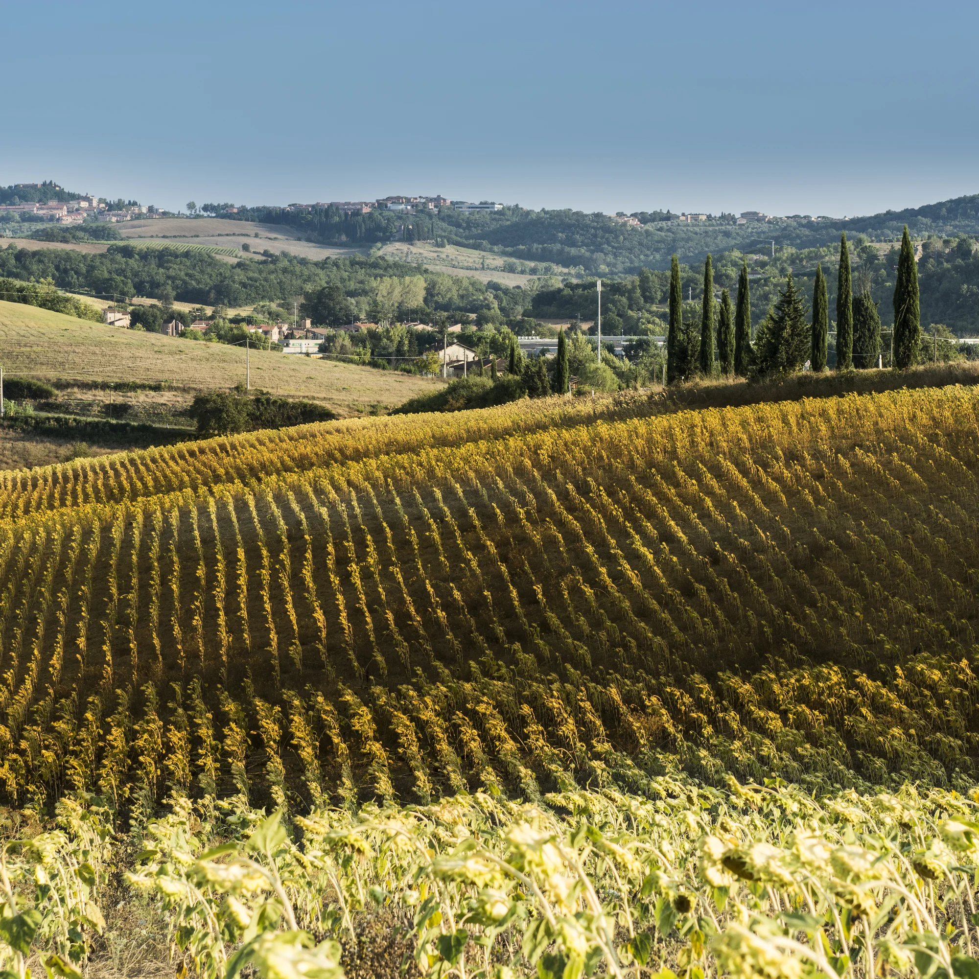 Zájezd do Florencie: noc v hotelu se snídaní, památky i degustace vín, doprava busem