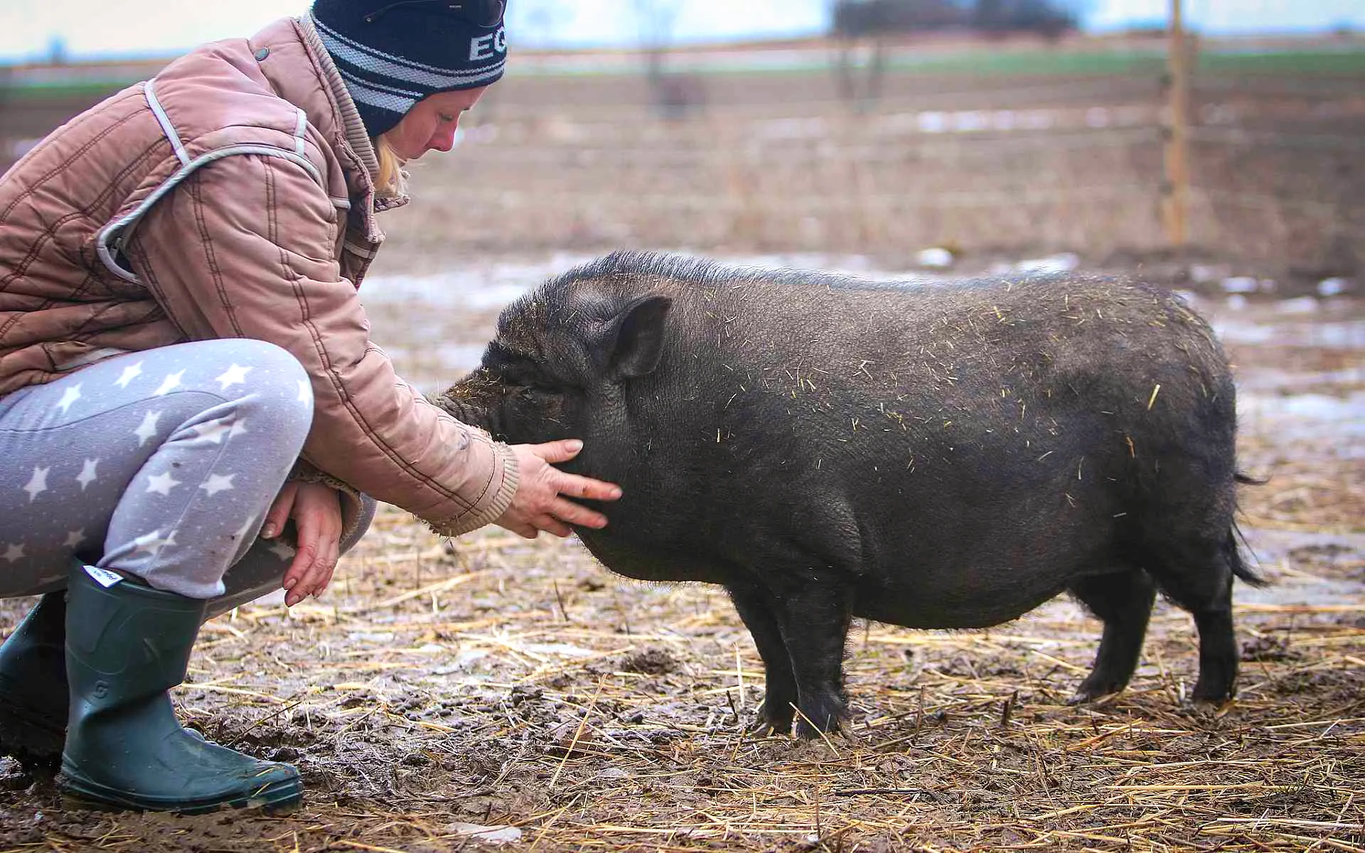 Zvířata na dosah ruky: VIP vstup na Statek u Merlina vč. vstupenky do zooparku pro všechny