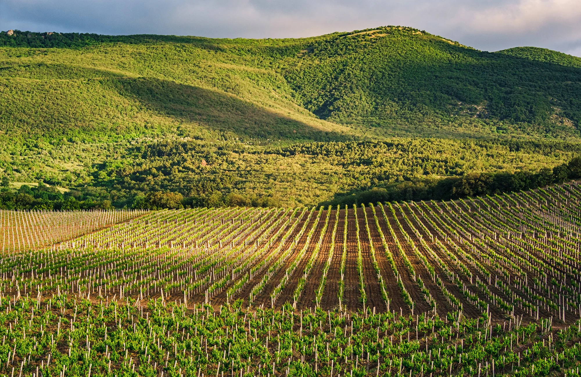Zájezd do Florencie: noc v hotelu se snídaní, památky i degustace vín, doprava busem