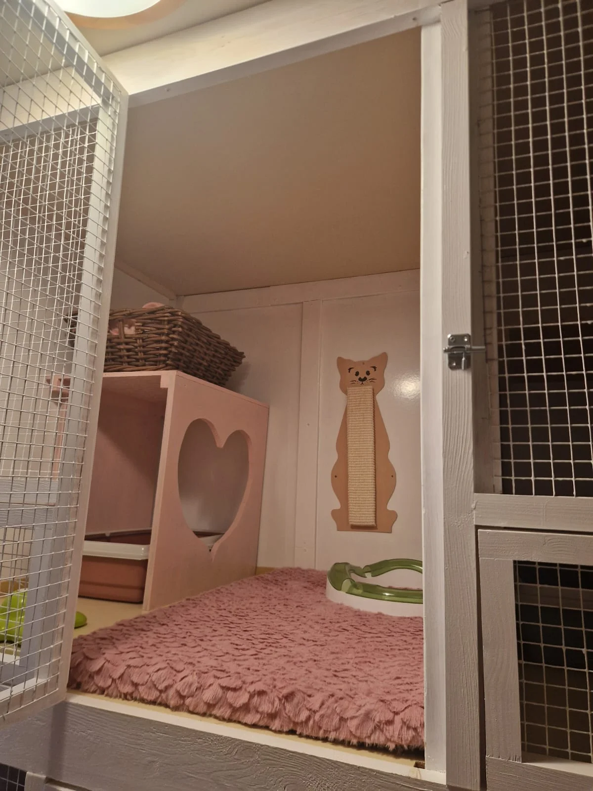 Ubytování kočičky v kočičím hotelu na 1 až 7 dní, vč. mazlení a veškeré péče