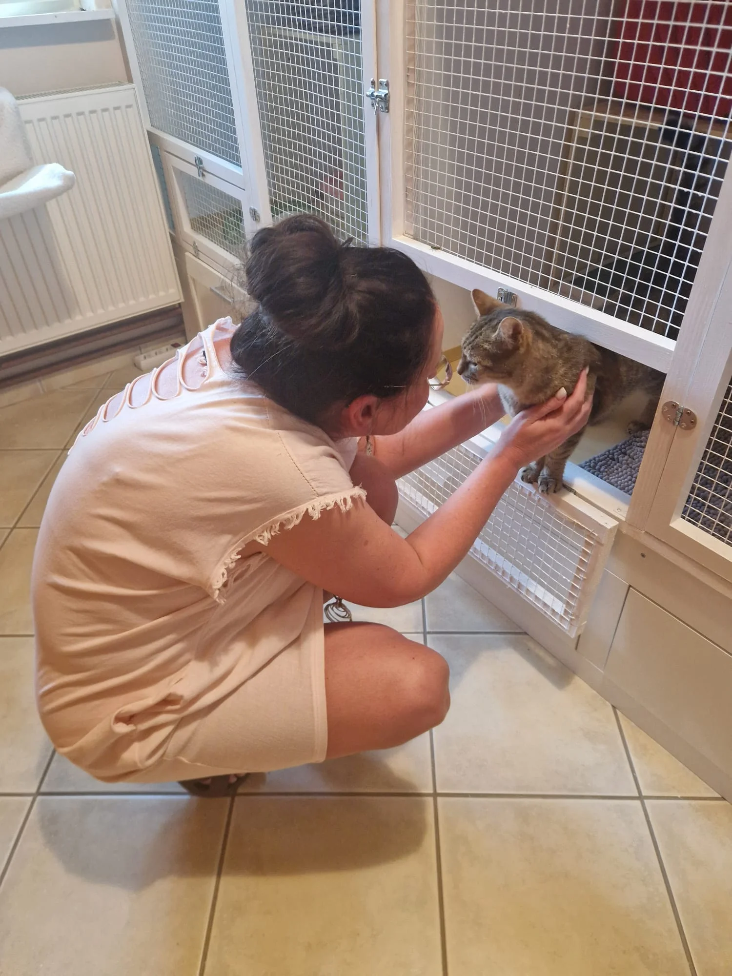 Ubytování kočičky v kočičím hotelu na 1 až 7 dní, vč. mazlení a veškeré péče