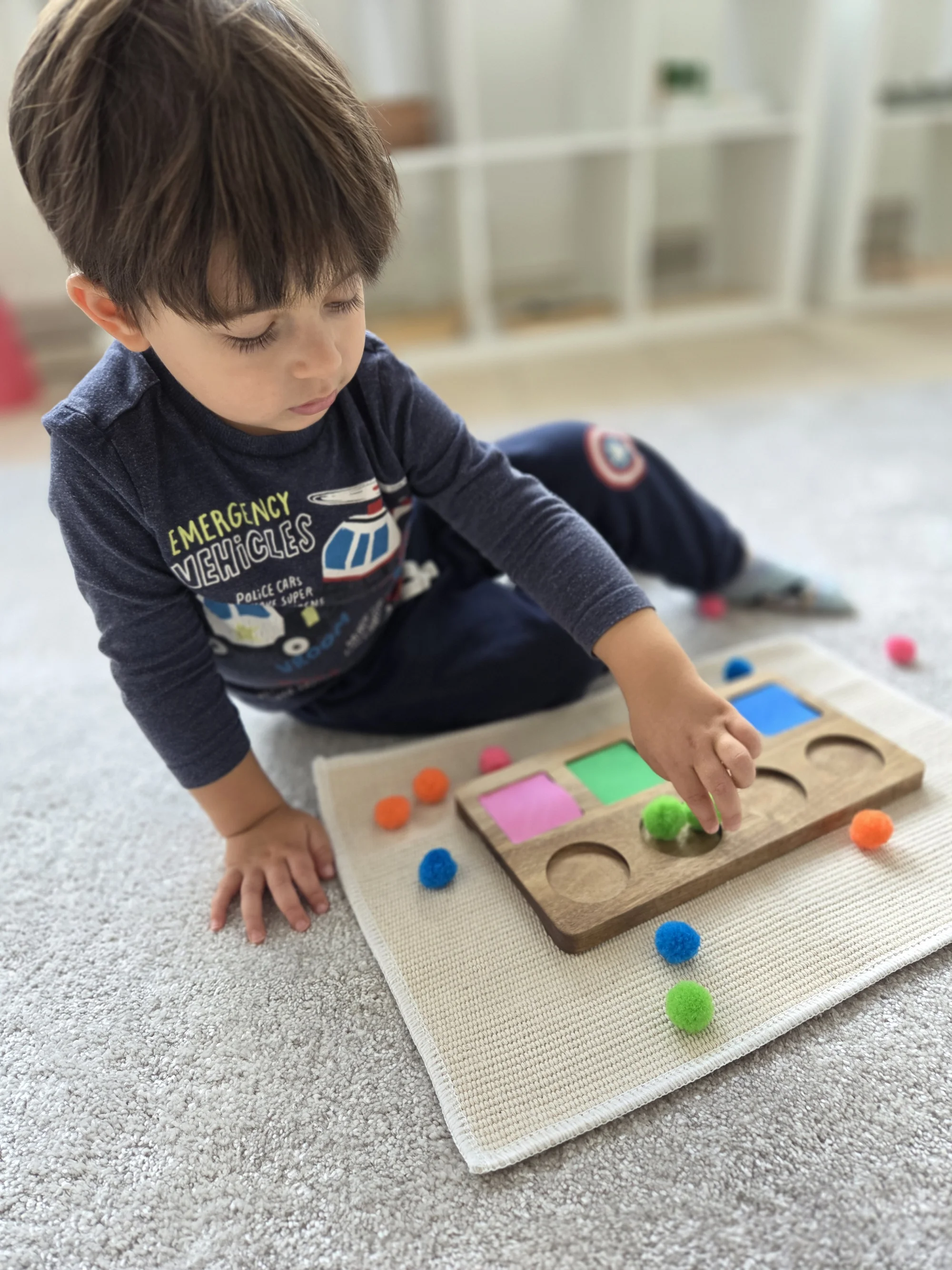 Montessori dílničky: rozvoj motoriky, pozornosti i smyslů, 1–5 vstupů