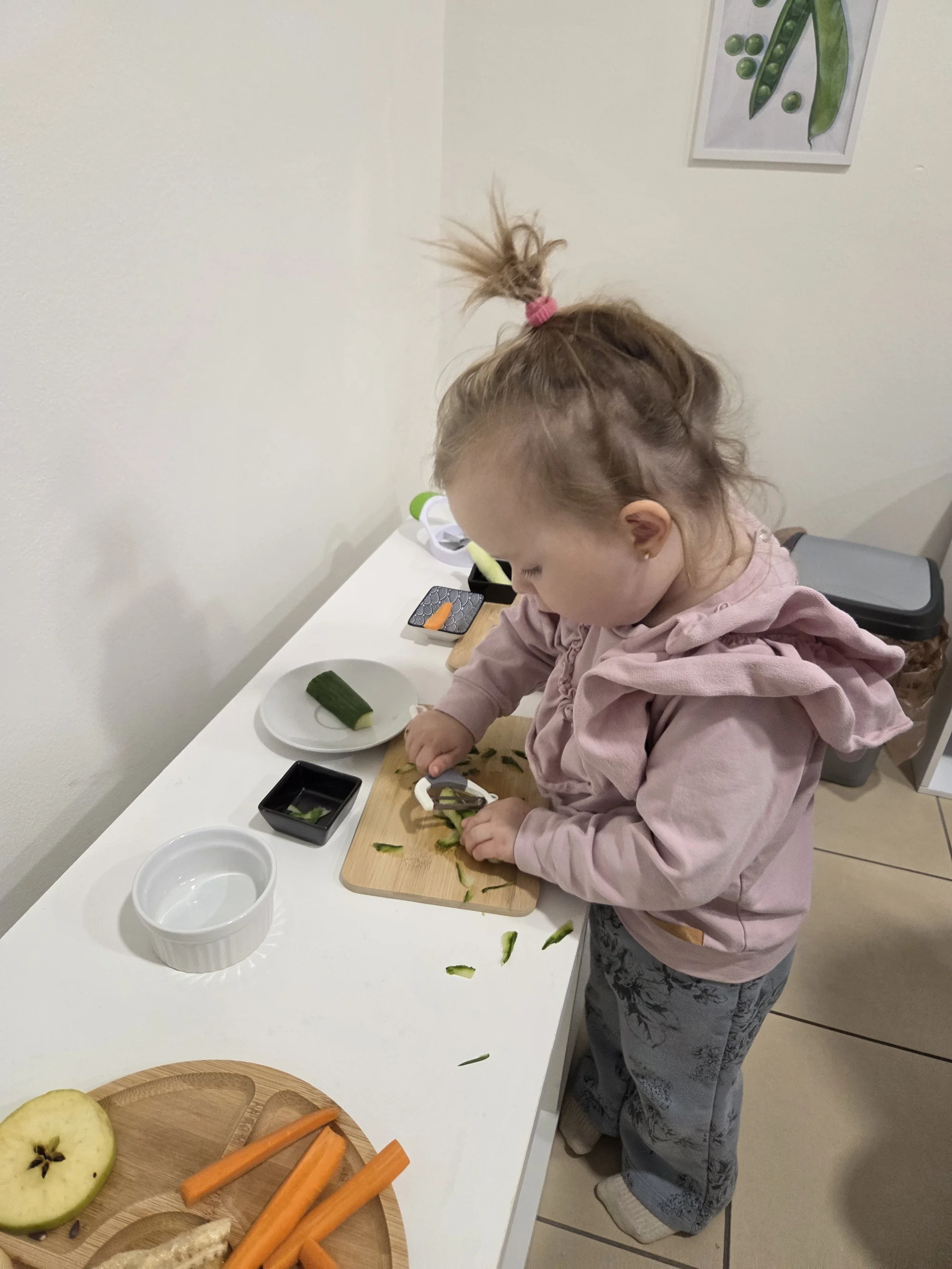 Montessori dílničky: rozvoj motoriky, pozornosti i smyslů, 1–5 vstupů