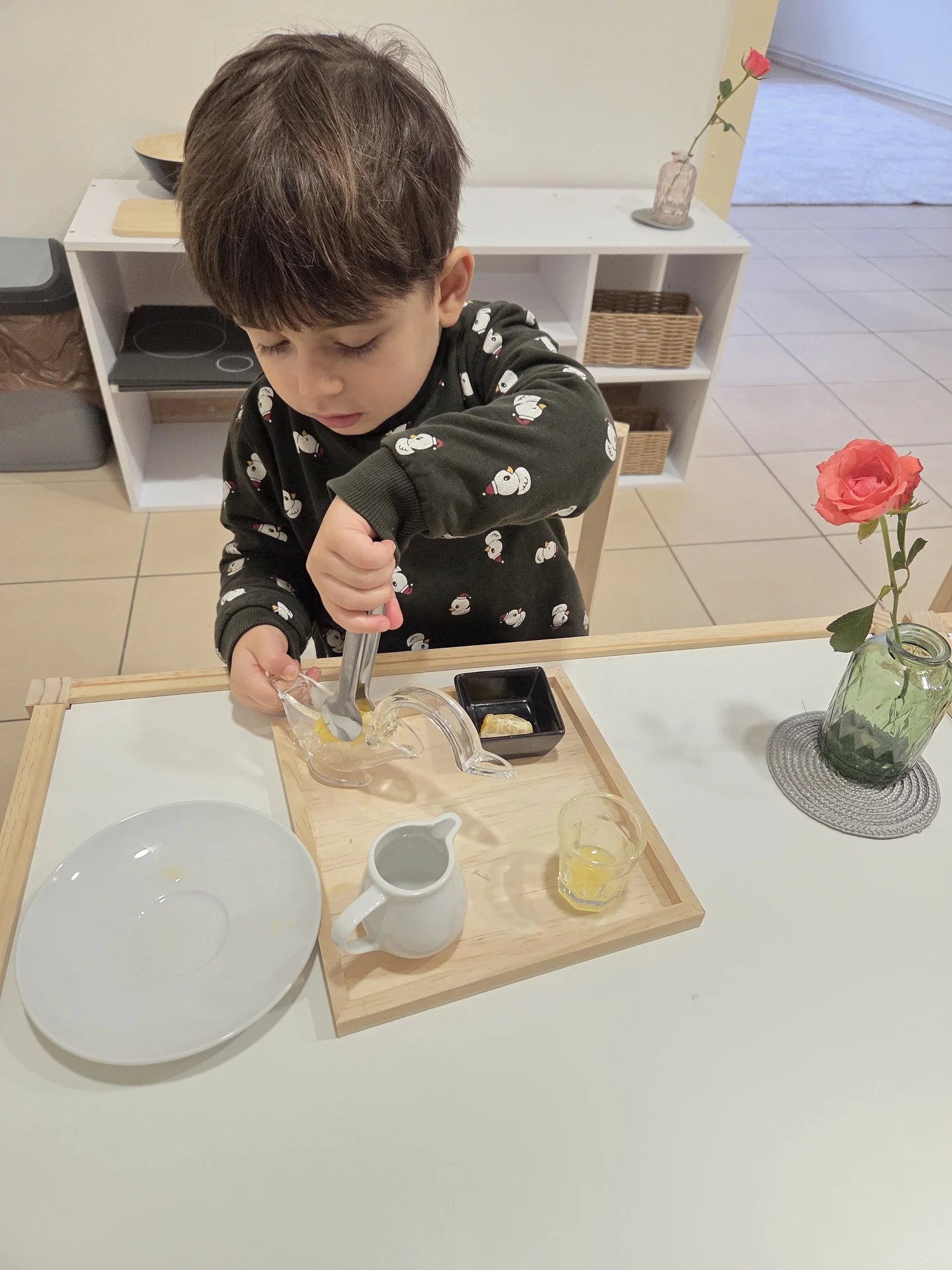 Montessori dílničky: rozvoj motoriky, pozornosti i smyslů, 1–5 vstupů