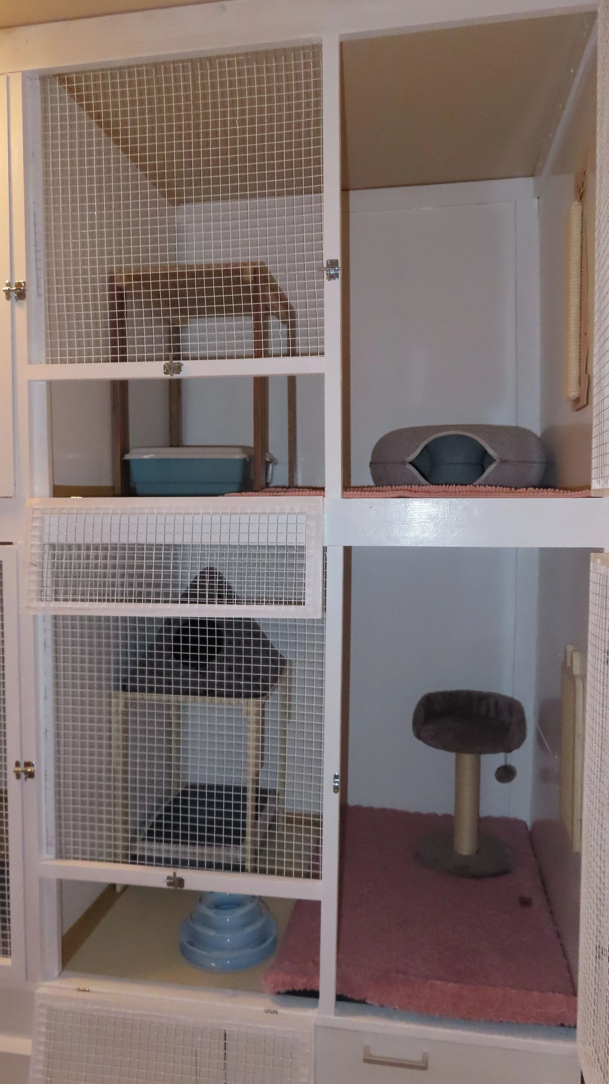 Ubytování kočičky v kočičím hotelu na 1 až 7 dní, vč. mazlení a veškeré péče