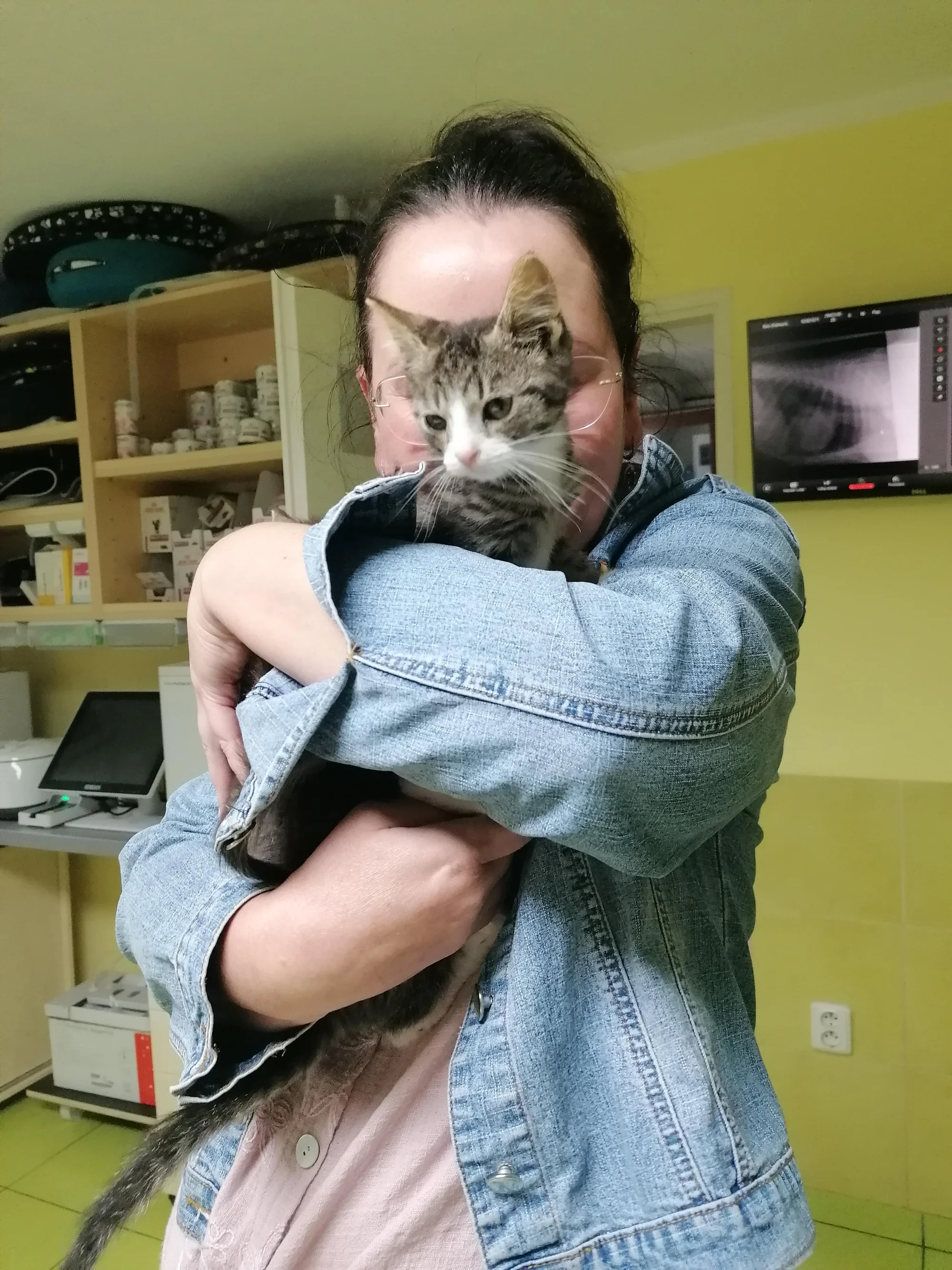 Ubytování kočičky v kočičím hotelu na 1 až 7 dní, vč. mazlení a veškeré péče