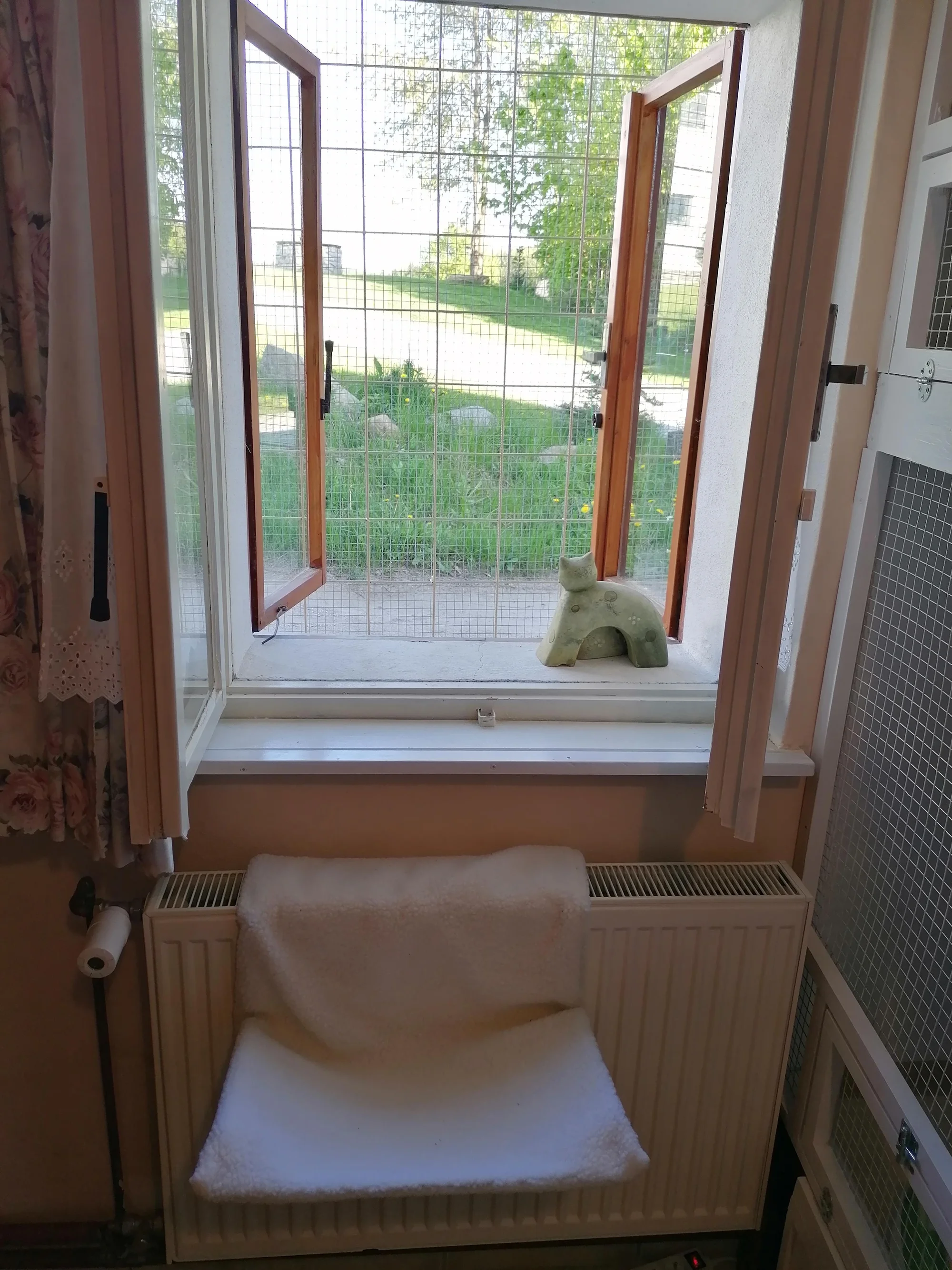 Ubytování kočičky v kočičím hotelu na 1 až 7 dní, vč. mazlení a veškeré péče