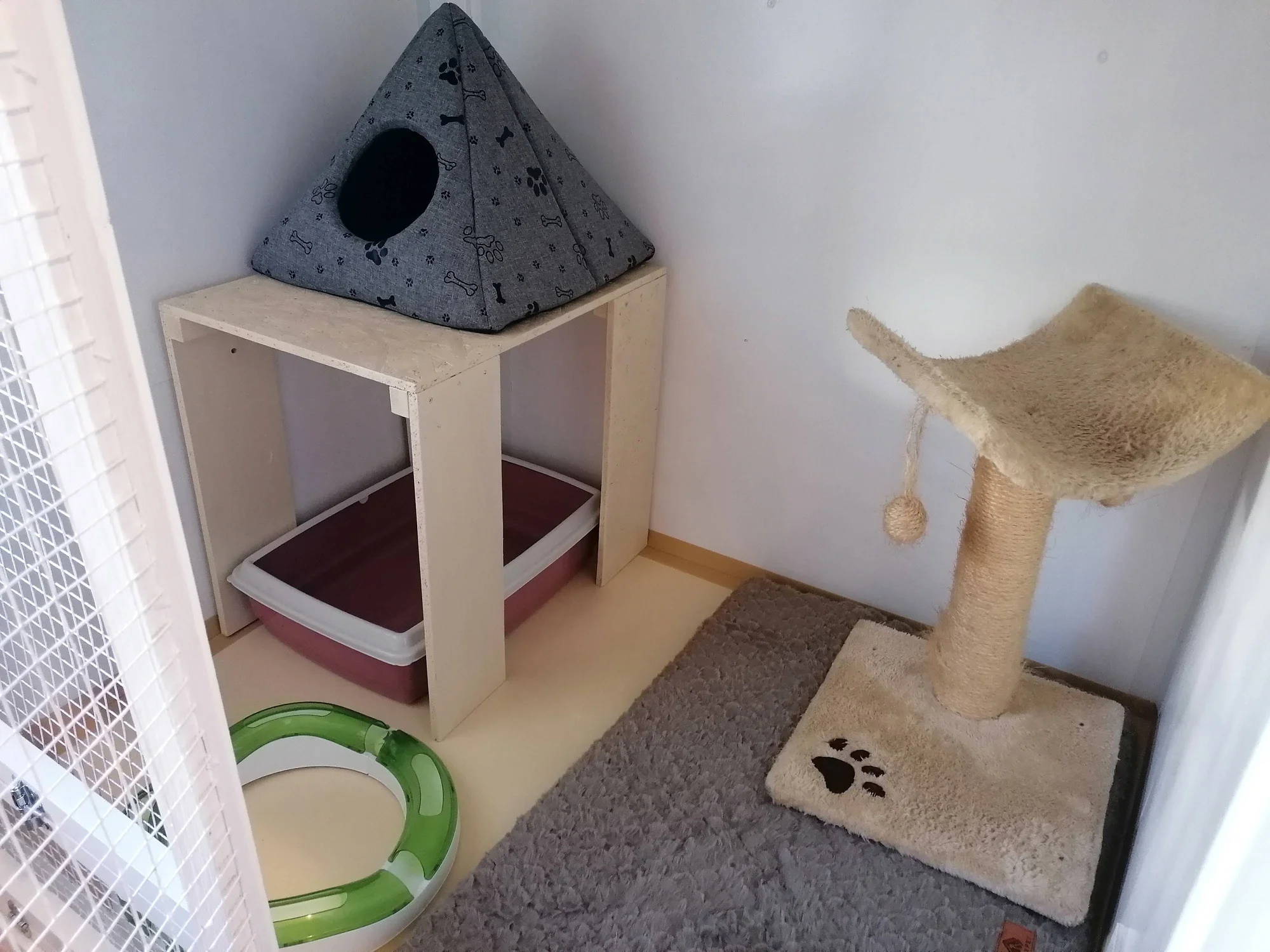 Ubytování kočičky v kočičím hotelu na 1 až 7 dní, vč. mazlení a veškeré péče