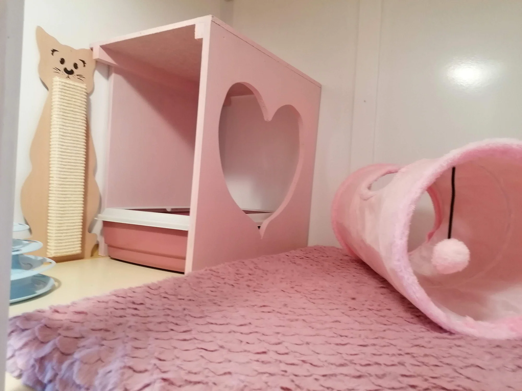 Ubytování kočičky v kočičím hotelu na 1 až 7 dní, vč. mazlení a veškeré péče