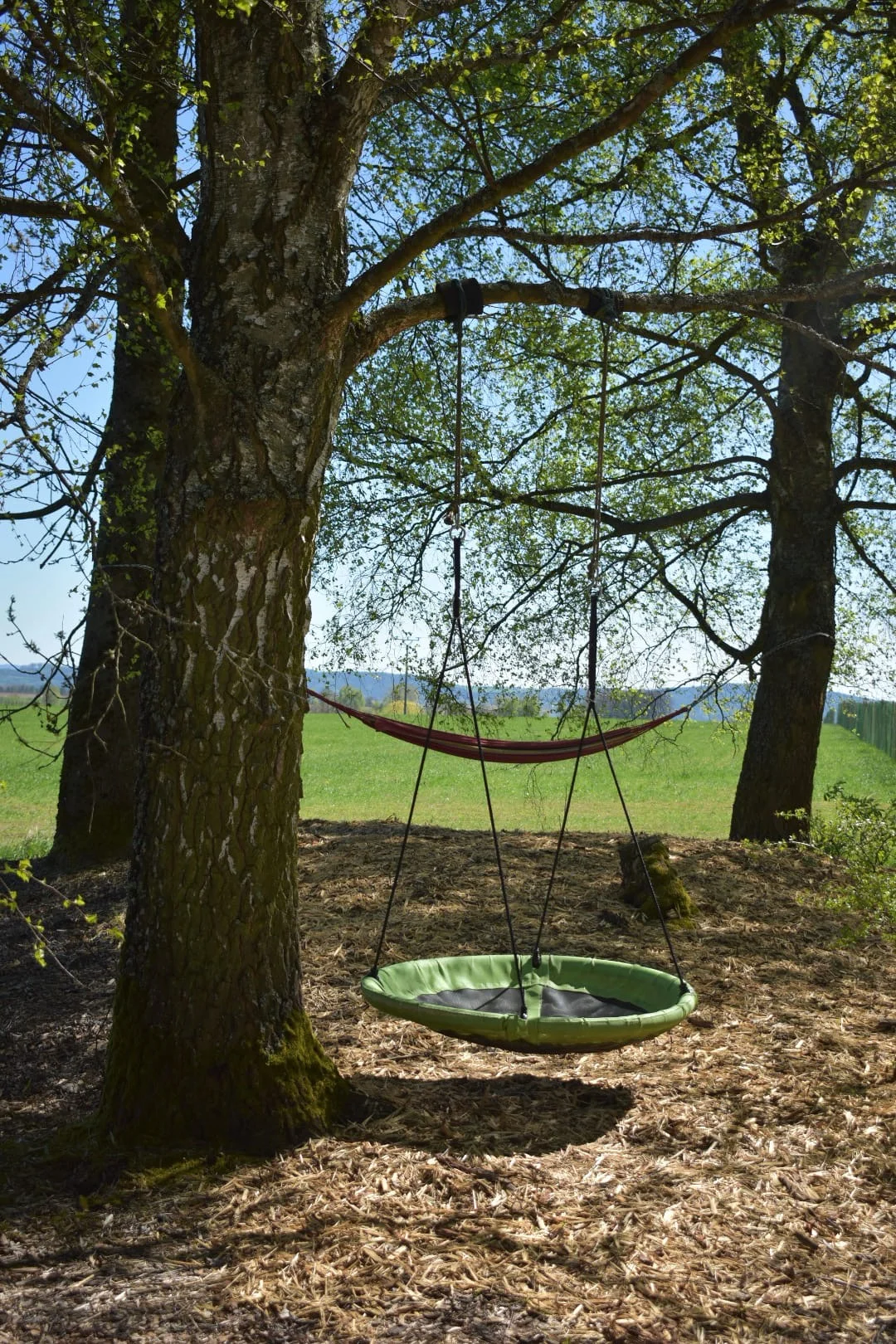 Parádní glamping V bublině: neomezený relax v sauně a výhled na hvězdy