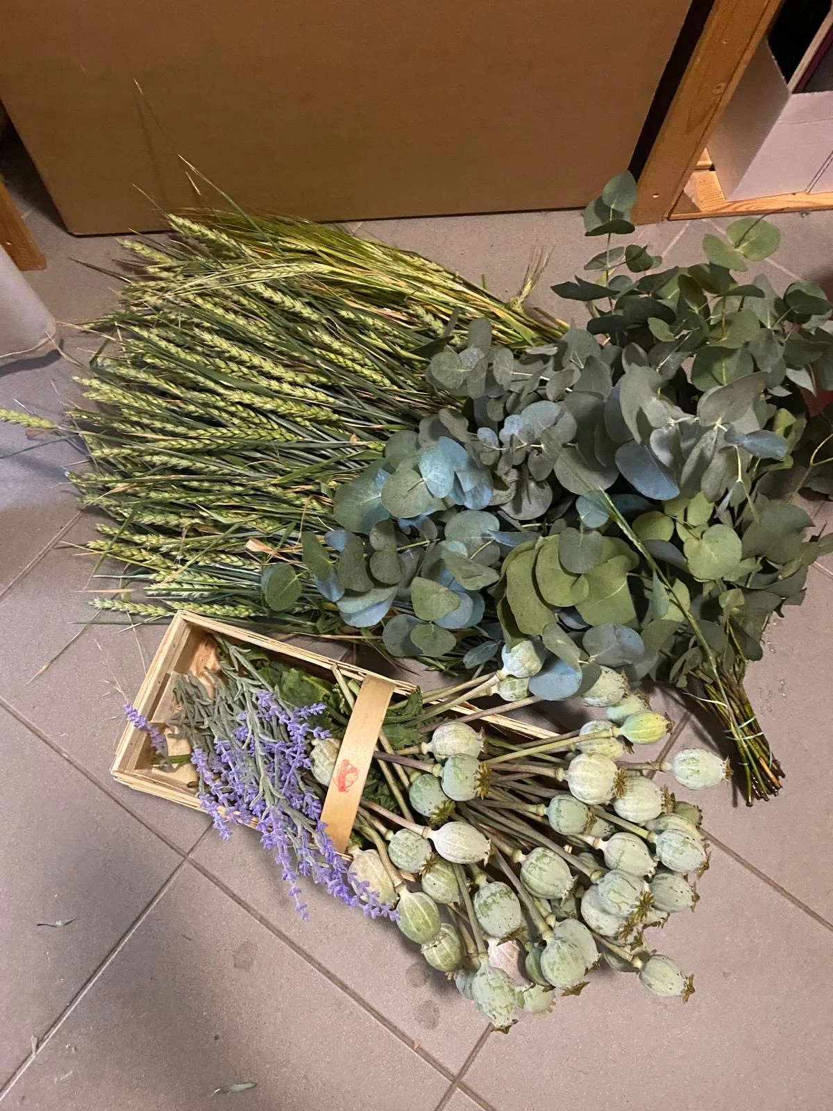 Workshop vázání sezónního či adventního věnce: pro 1 či 2 osoby, 2–3 hod.