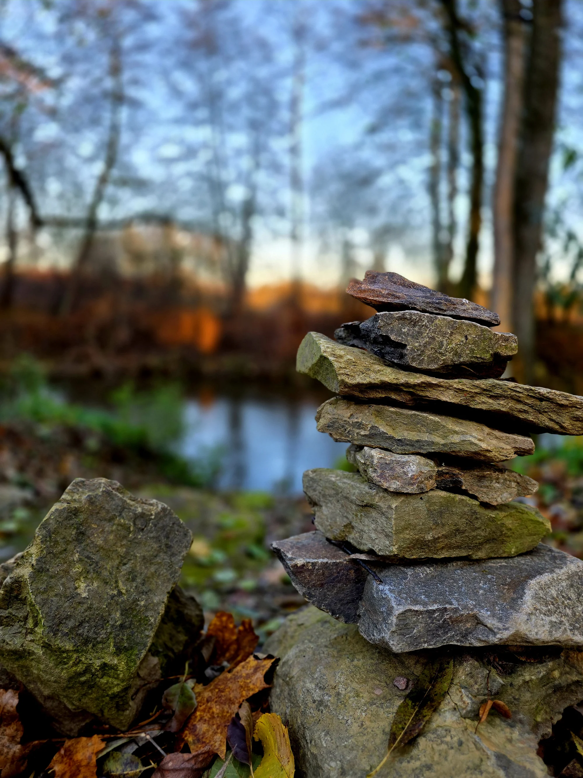 Tiny house u Dvora Králové: relax v soukromí s finskou saunou i koupacím sudem
