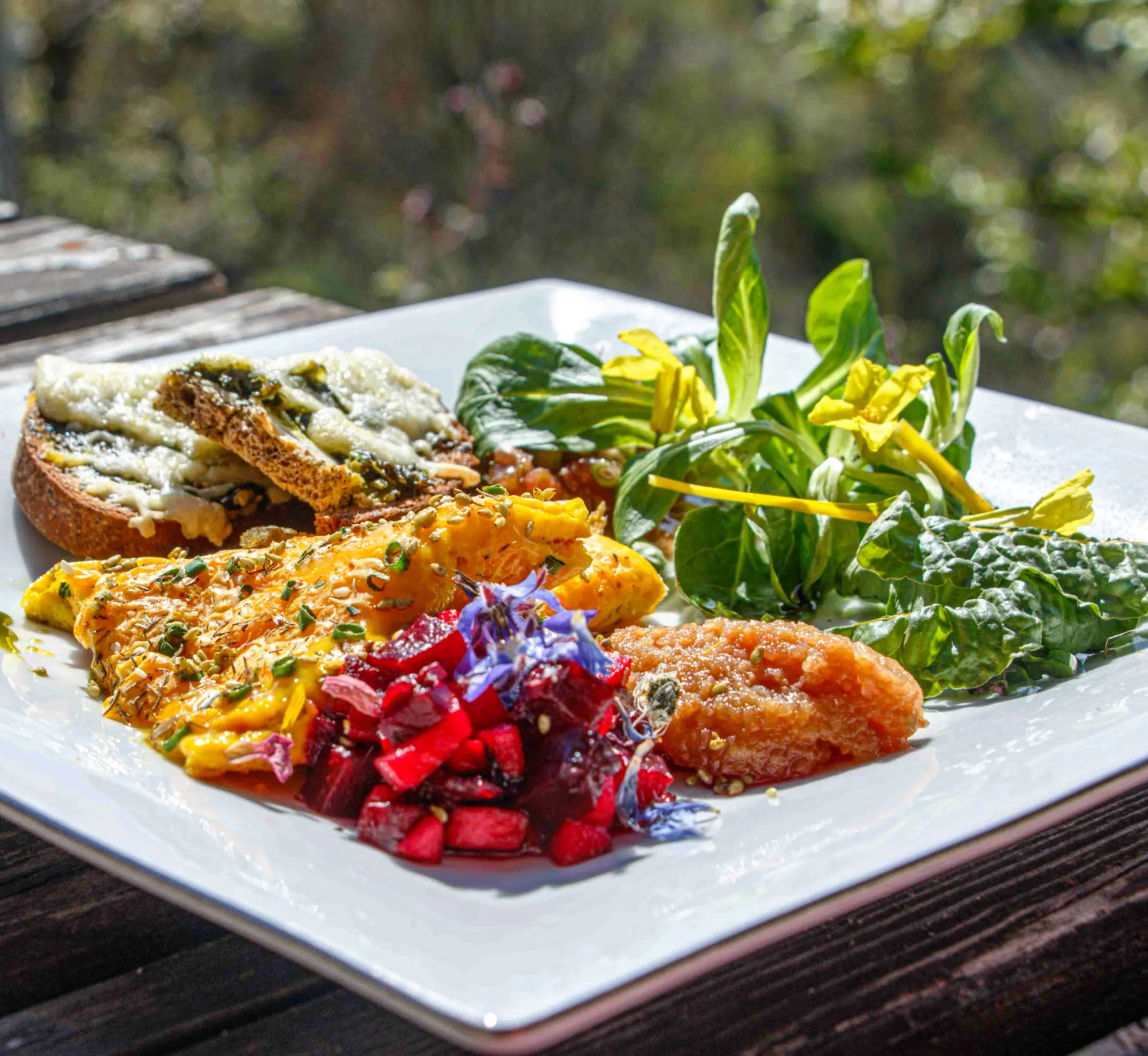 Workshop rostlinné kuchyně v kuchařské škole Presto: teorie i ochutnávky dezertů a omáček