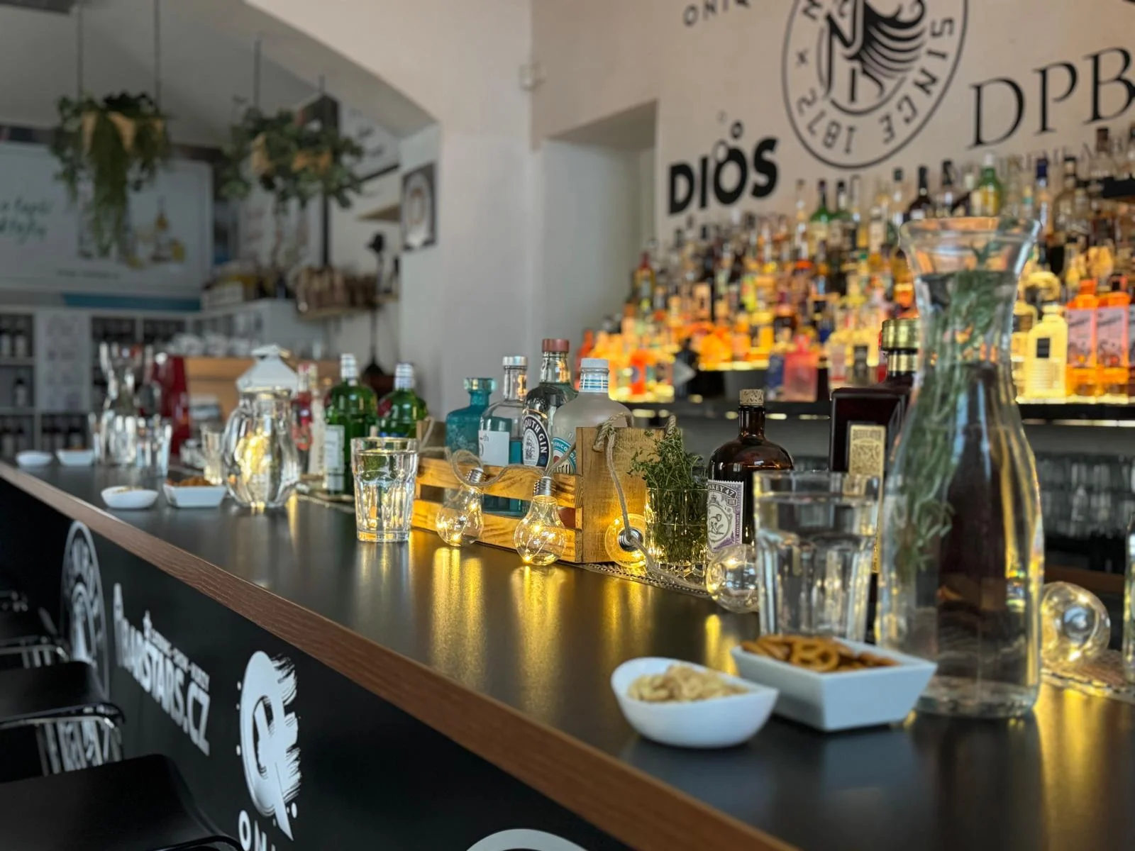 Degustace ginů a párování s toniky včetně odborného výkladu pro 1–4 osoby