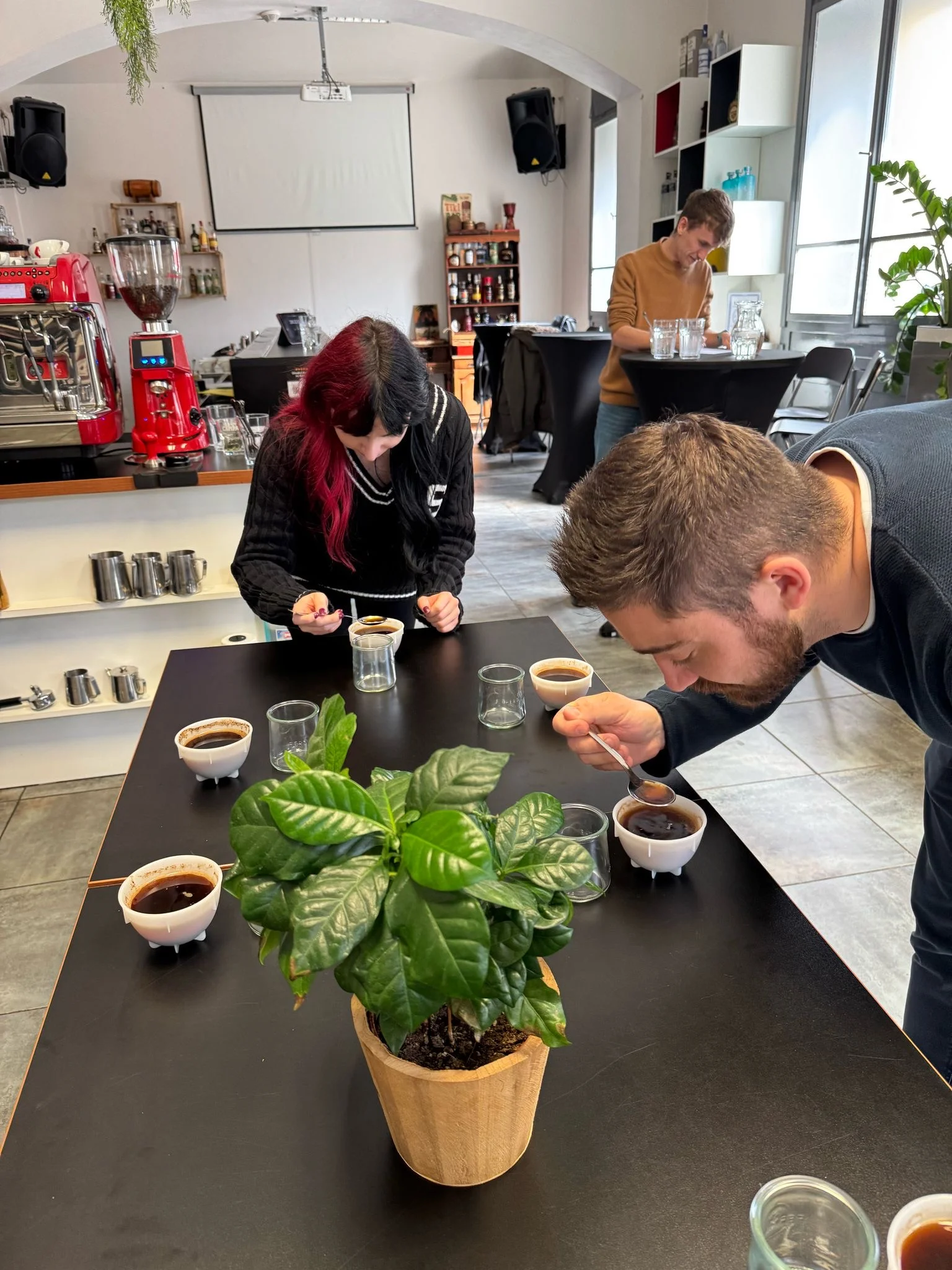 Cupping: zážitková degustace 8 druhů kávy a představení celého procesu