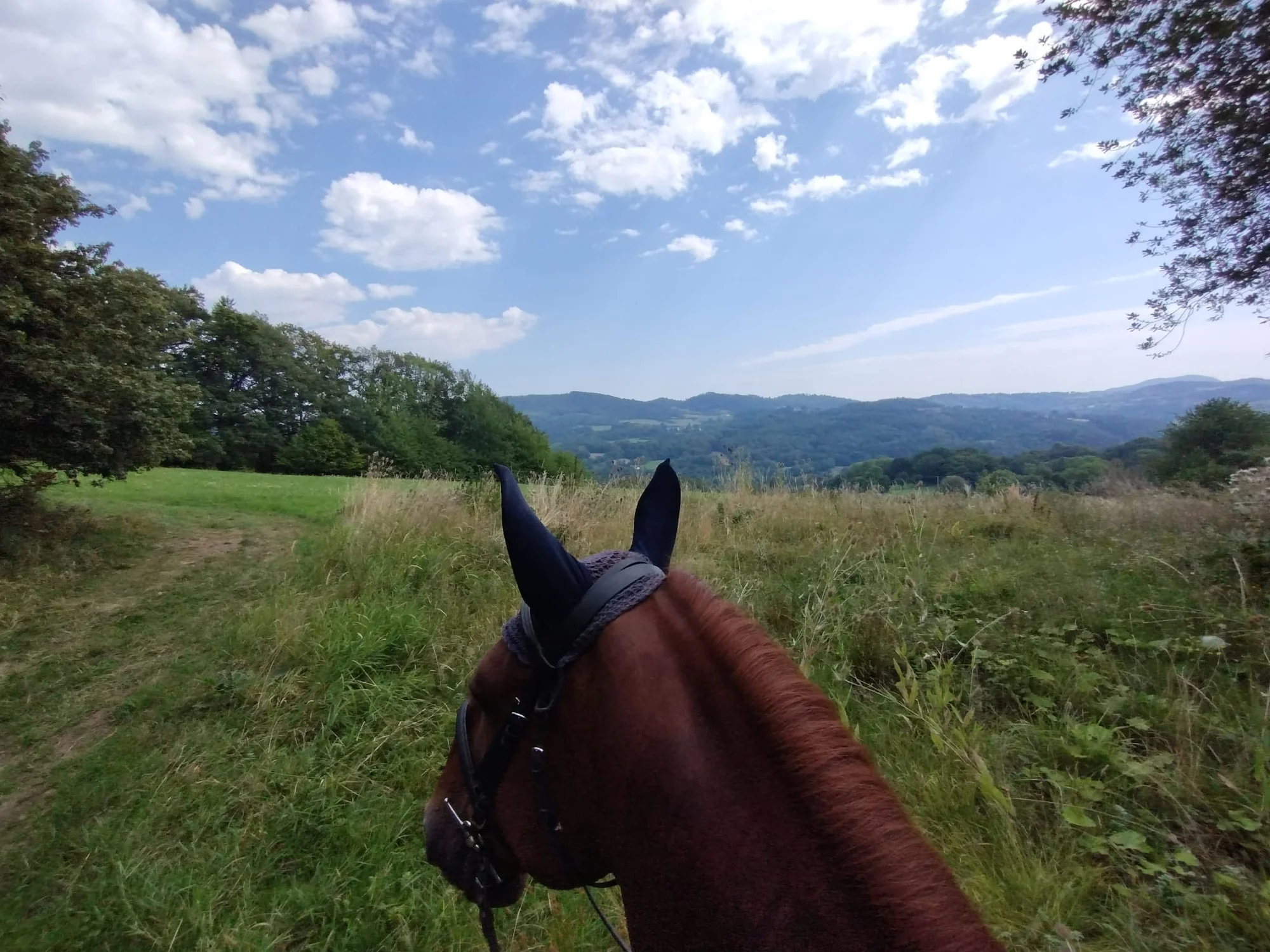 Zážitková procházka s koněm přírodou chráněné oblasti: varianty pro děti i dospělé