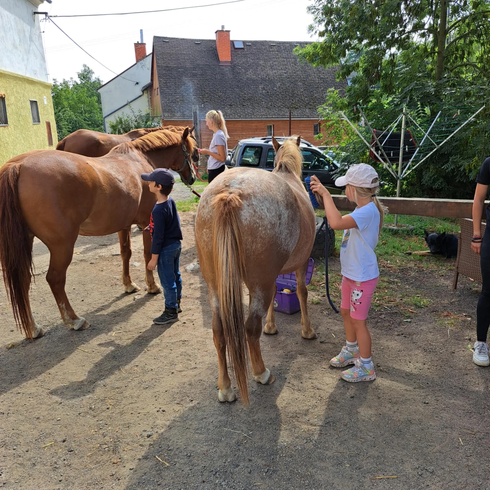 Zážitková procházka s koněm přírodou chráněné oblasti: varianty pro děti i dospělé