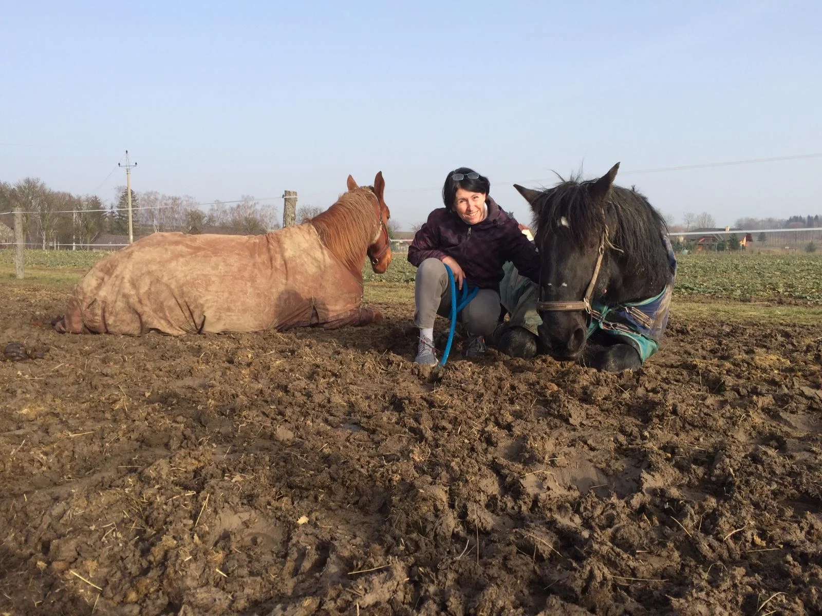 Osobní rozvoj s péčí o koně: antistresová procházka i leadership