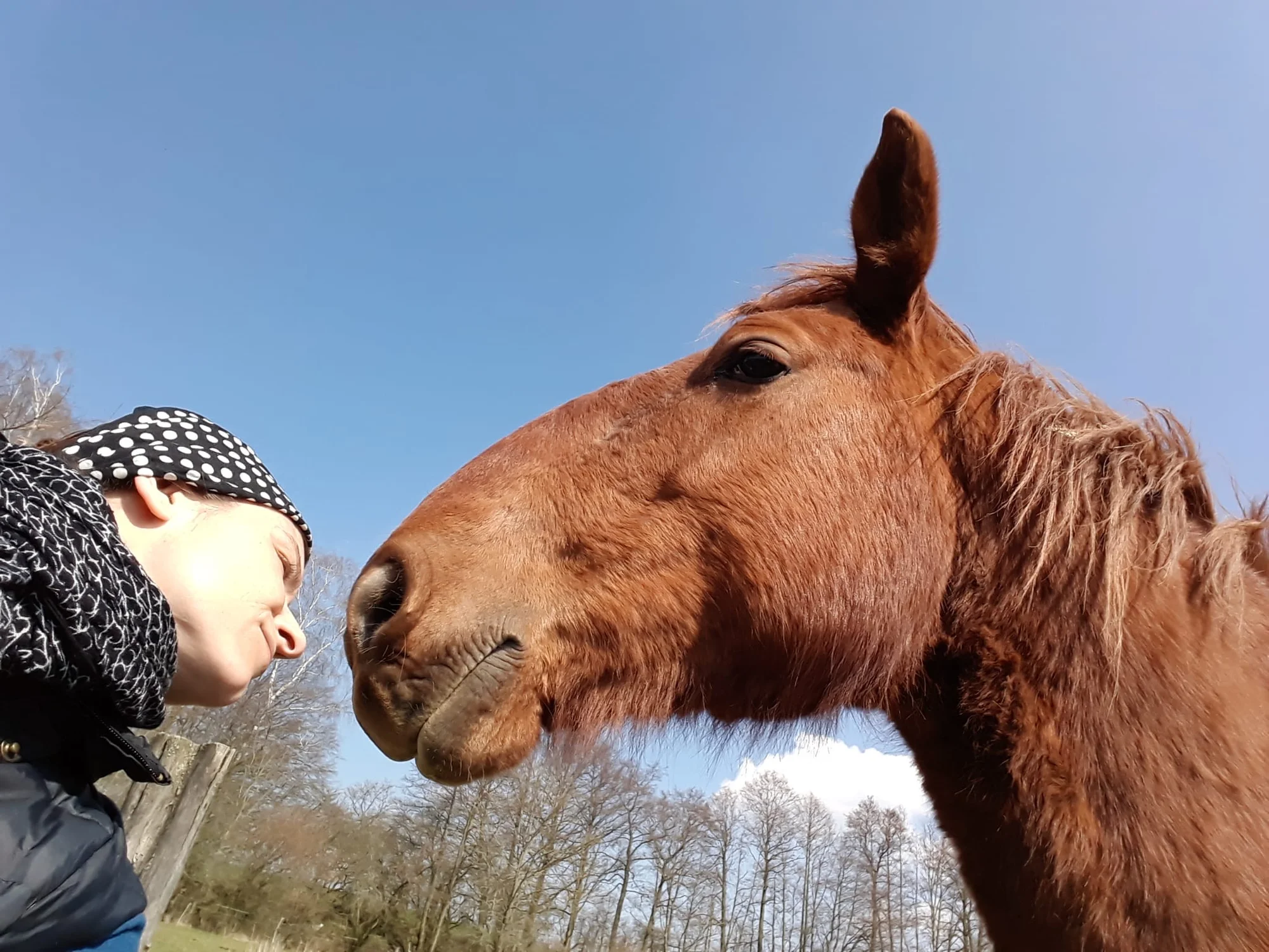 Zážitková procházka s koněm přírodou chráněné oblasti: varianty pro děti i dospělé