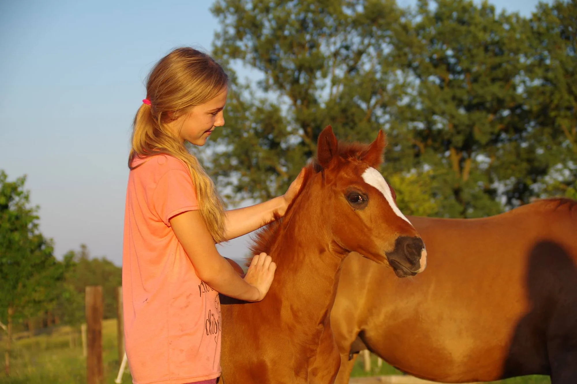 Farmářem na zkoušku: den na statku, jízda na koni a v traktoru, práce se zvířaty
