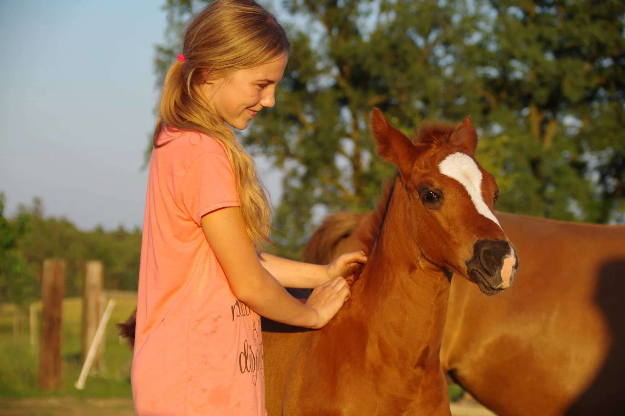 Farmářem na zkoušku: den na statku, jízda na koni a v traktoru, práce se zvířaty