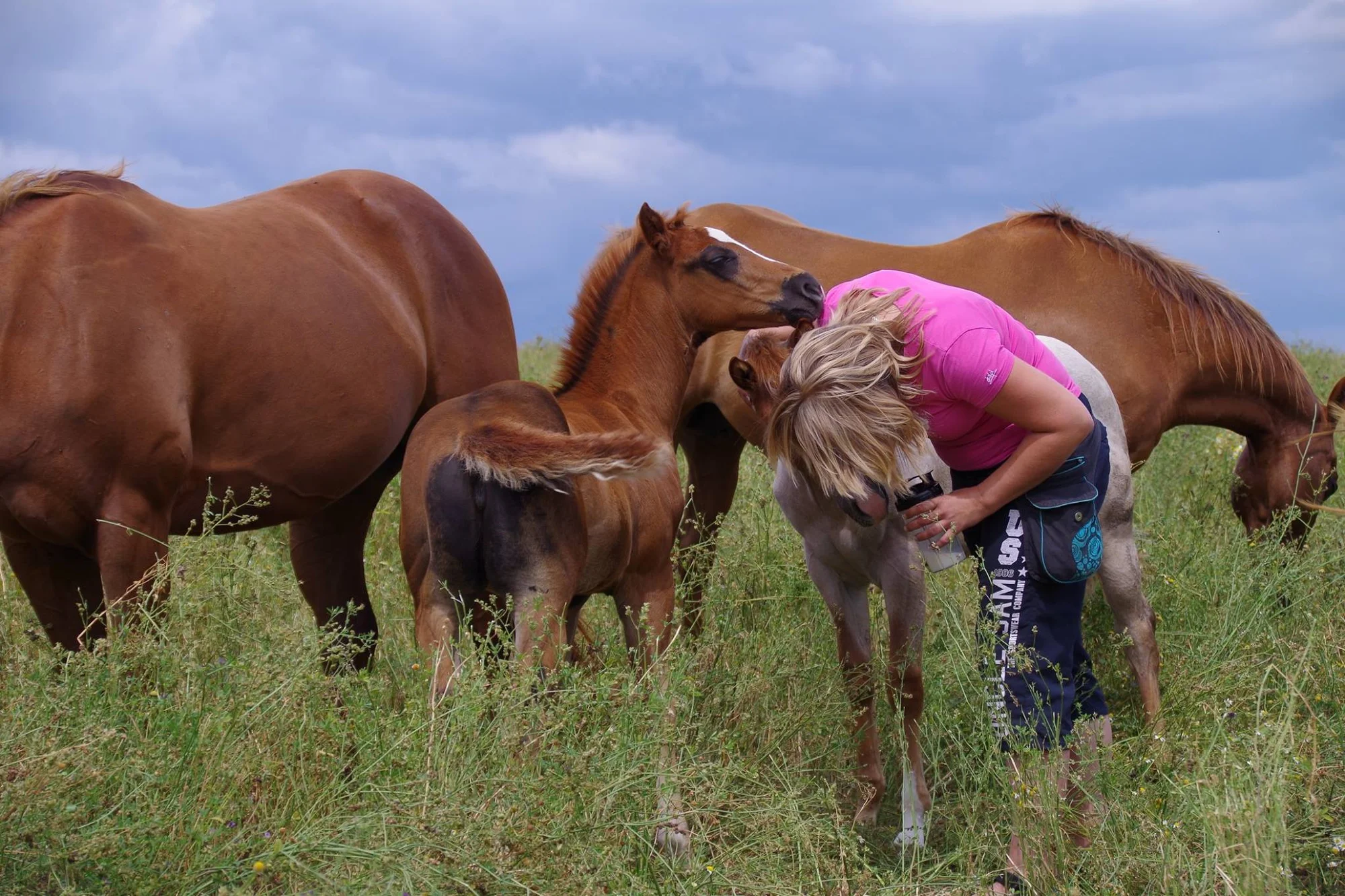Farmářem na zkoušku: den na statku, jízda na koni a v traktoru, práce se zvířaty