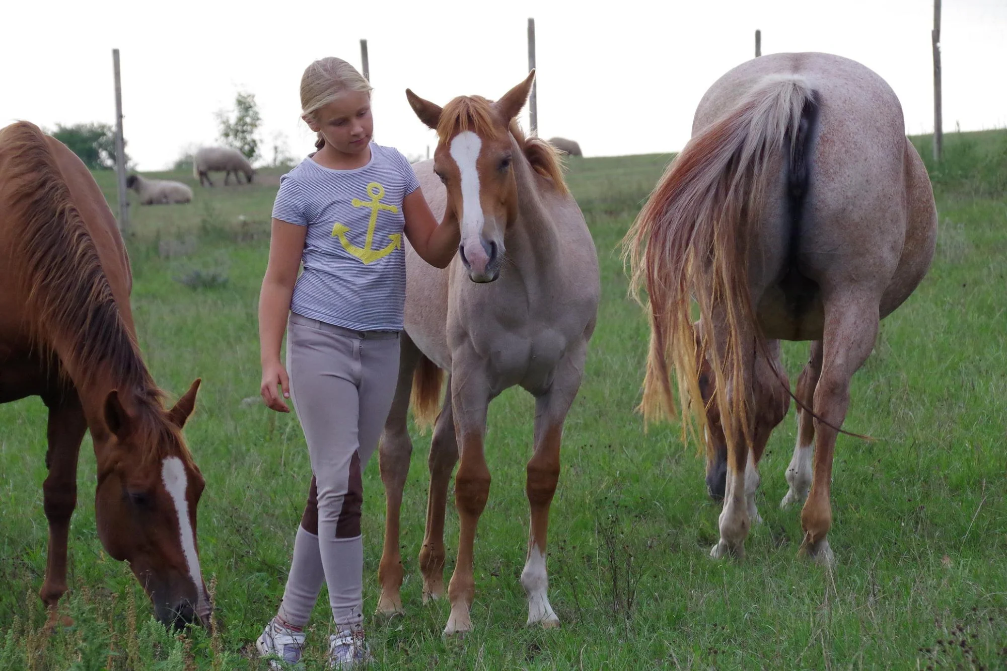 Farmářem na zkoušku: den na statku, jízda na koni a v traktoru, práce se zvířaty