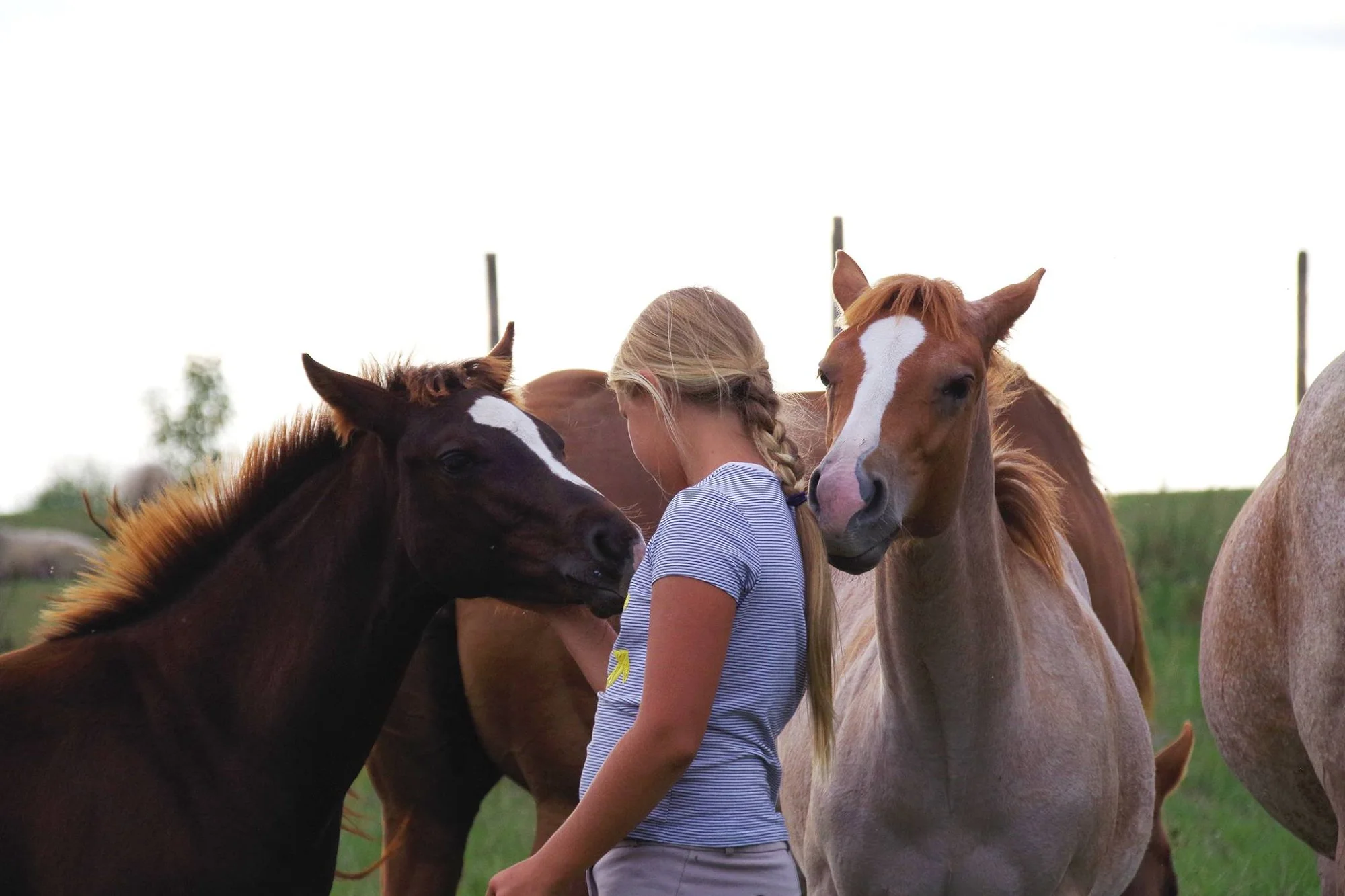 Farmářem na zkoušku: den na statku, jízda na koni a v traktoru, práce se zvířaty