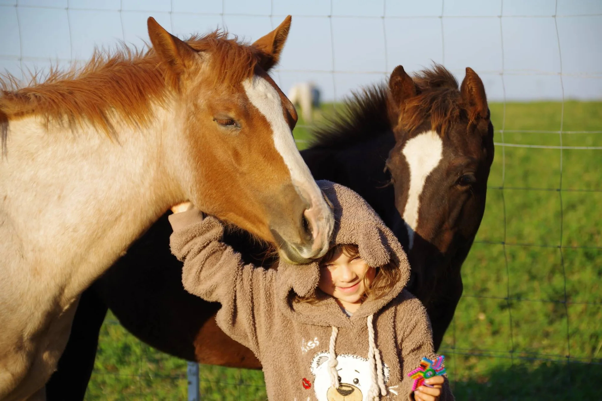 Farmářem na zkoušku: den na statku, jízda na koni a v traktoru, práce se zvířaty