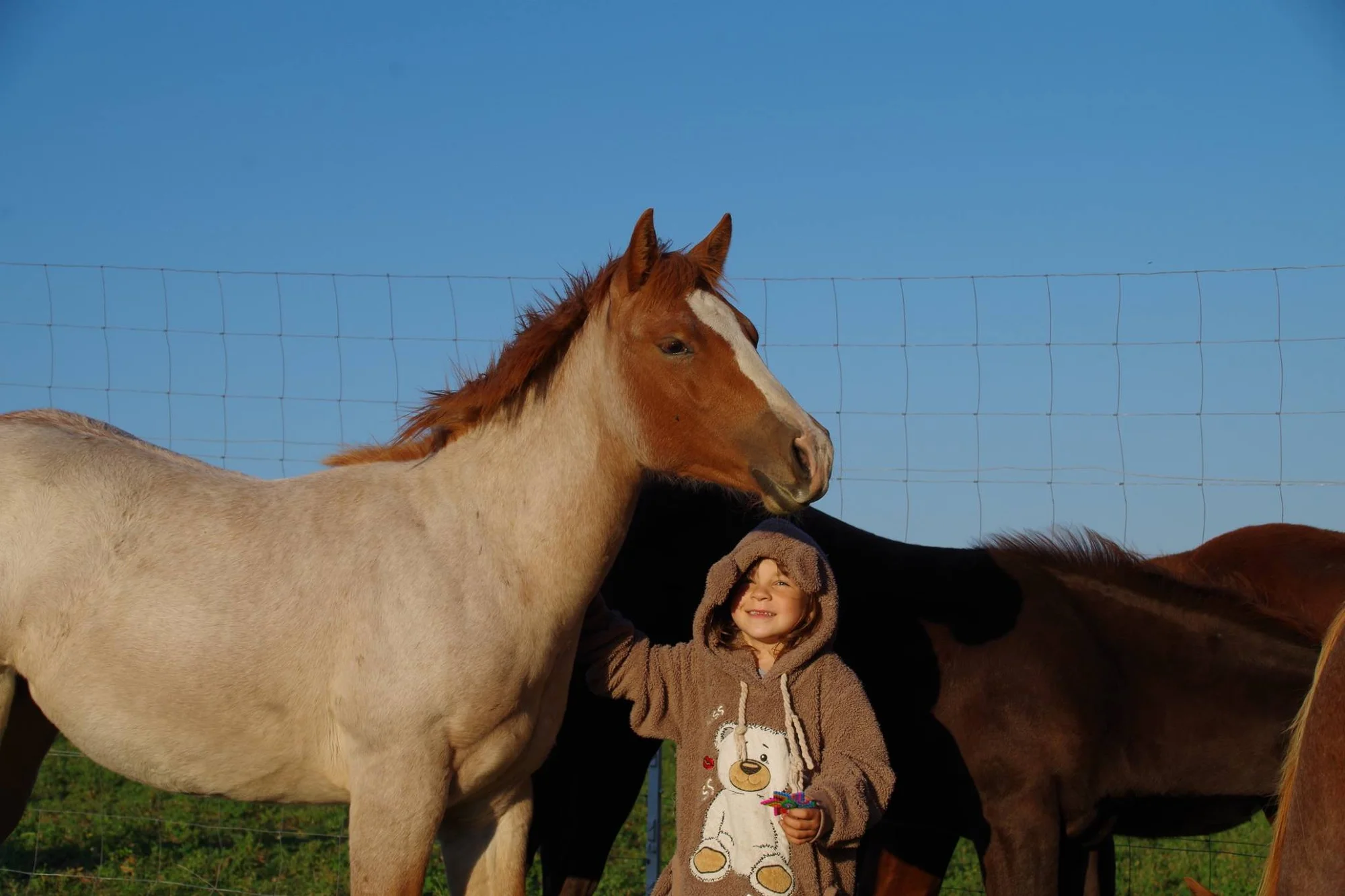Farmářem na zkoušku: den na statku, jízda na koni a v traktoru, práce se zvířaty