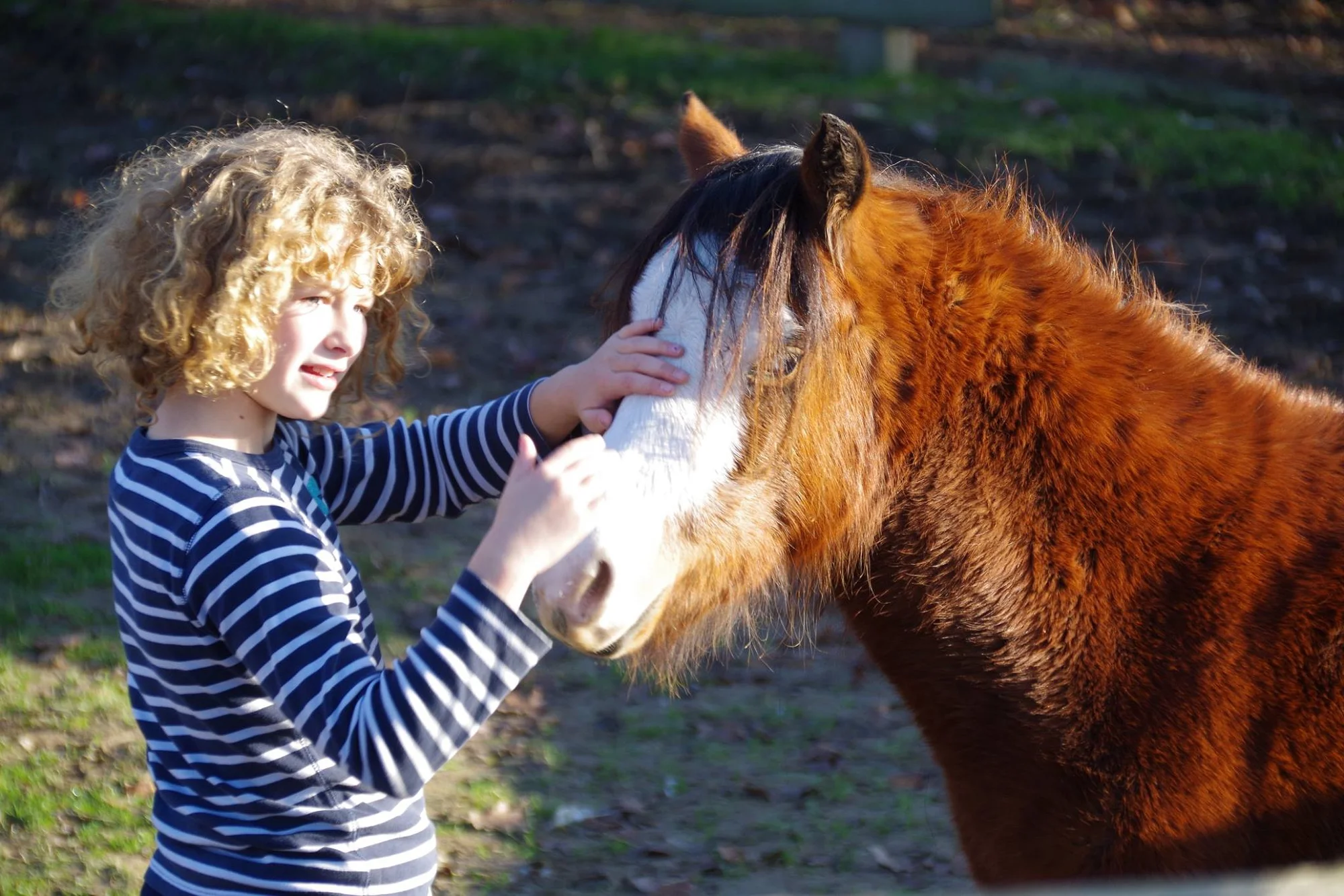 Farmářem na zkoušku: den na statku, jízda na koni a v traktoru, práce se zvířaty