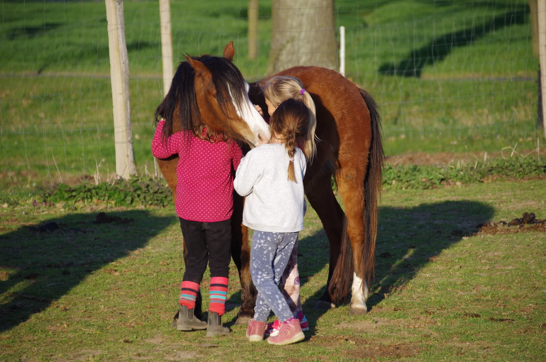 Farmářem na zkoušku: den na statku, jízda na koni a v traktoru, práce se zvířaty