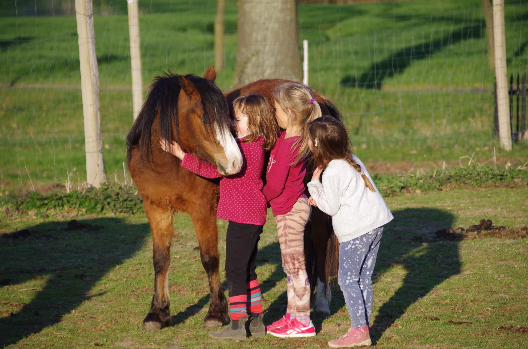 Farmářem na zkoušku: den na statku, jízda na koni a v traktoru, práce se zvířaty