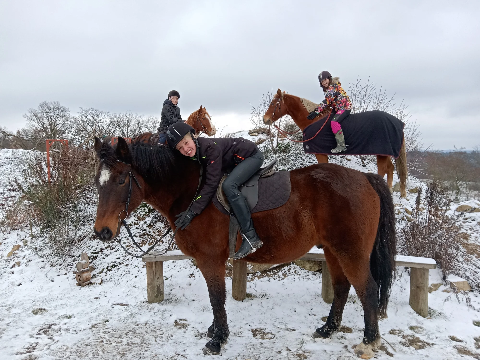 Farmářem na zkoušku: den na statku, jízda na koni a v traktoru, práce se zvířaty
