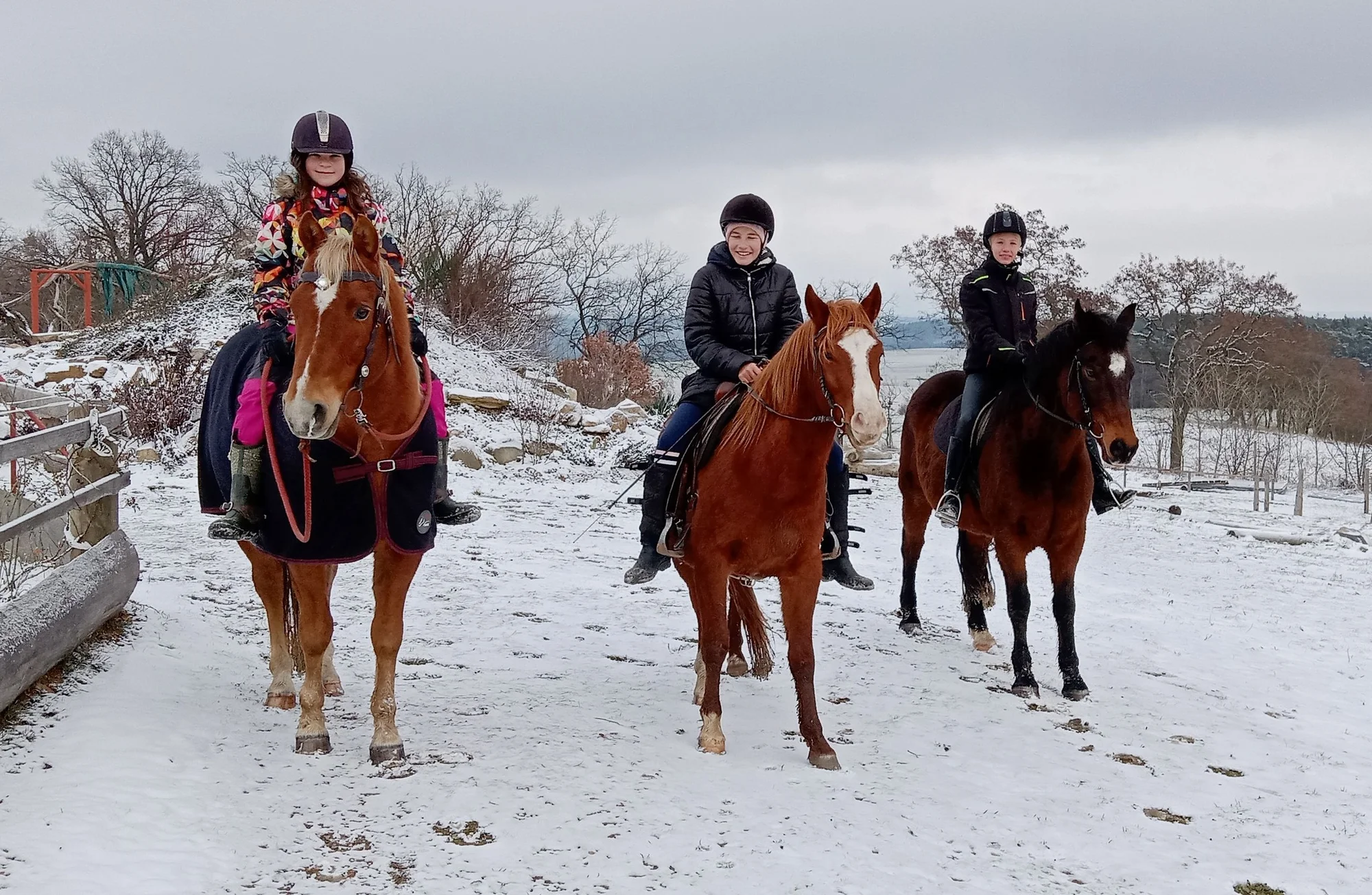 Farmářem na zkoušku: den na statku, jízda na koni a v traktoru, práce se zvířaty