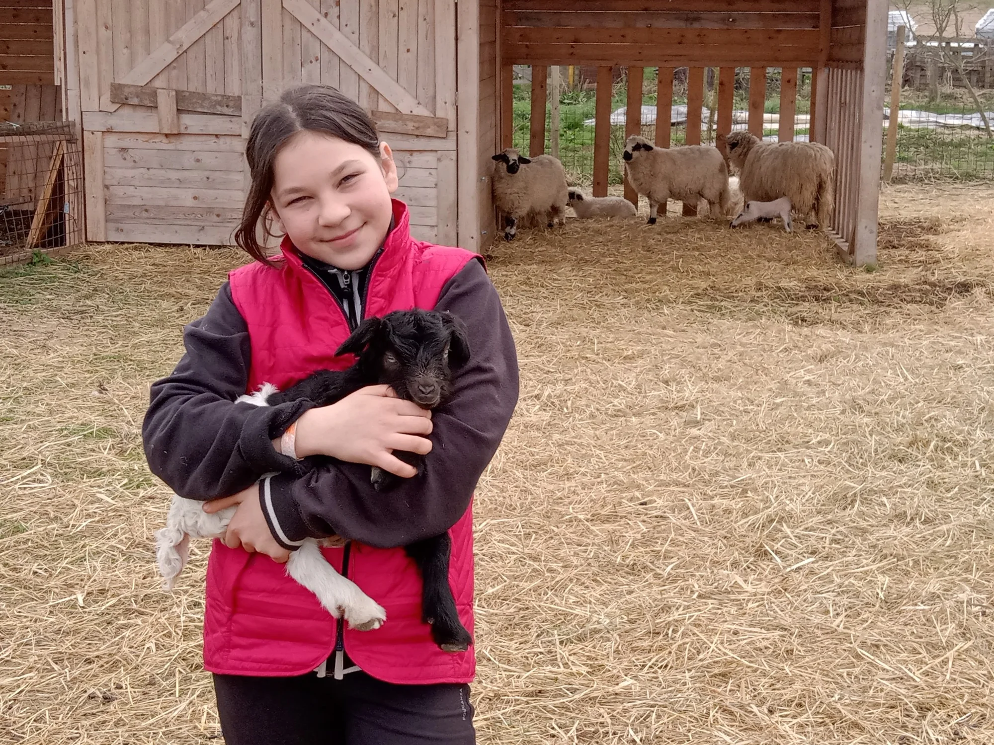 Farmářem na zkoušku: den na statku, jízda na koni a v traktoru, práce se zvířaty