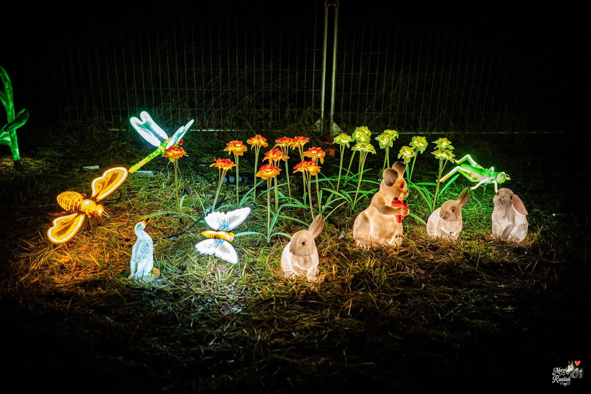 Vstupenky do Winter World: světelná pohádková zahrada, atrakce v ceně