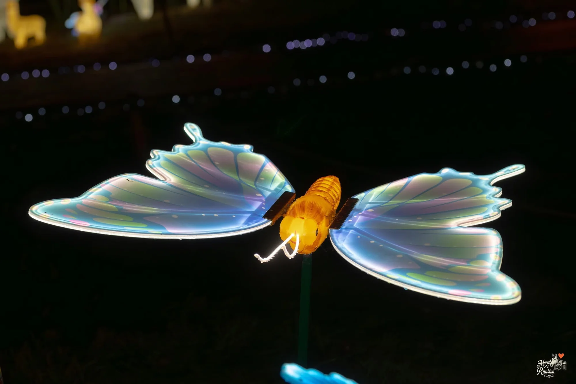 Vstupenky do Winter World: světelná pohádková zahrada, atrakce v ceně