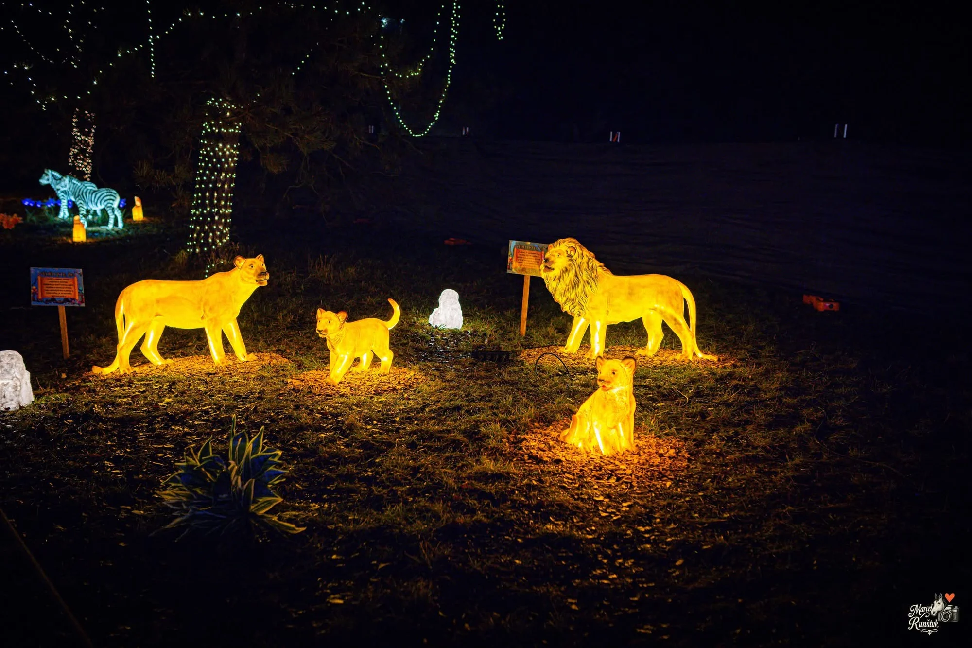 Vstupenky do Winter World: světelná pohádková zahrada, atrakce v ceně