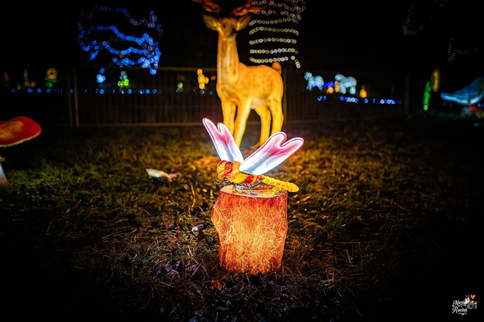 Vstupenky do Winter World: světelná pohádková zahrada, atrakce v ceně