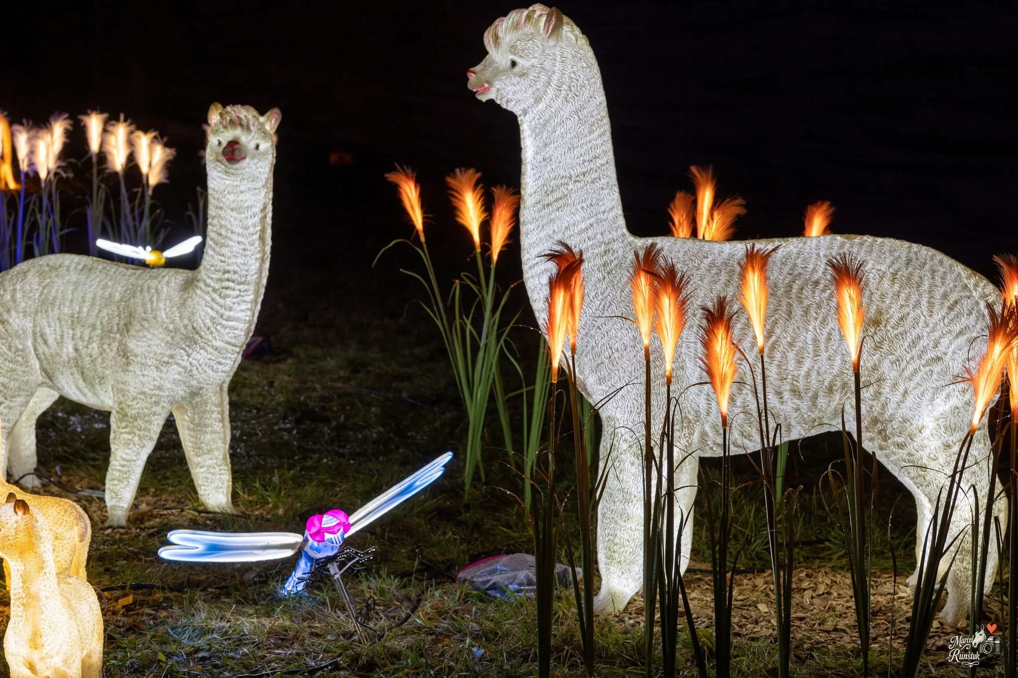 Vstupenky do Winter World: světelná pohádková zahrada, atrakce v ceně