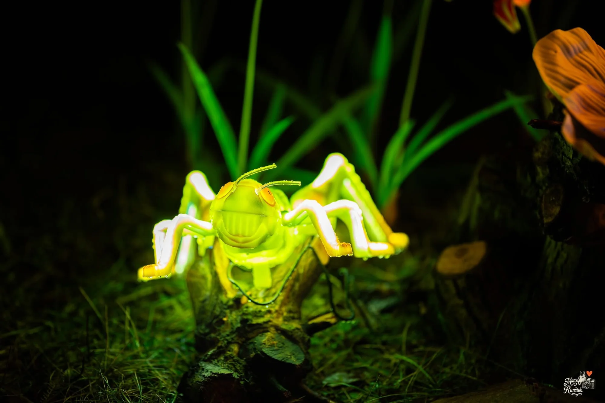 Vstupenky do Winter World: světelná pohádková zahrada, atrakce v ceně