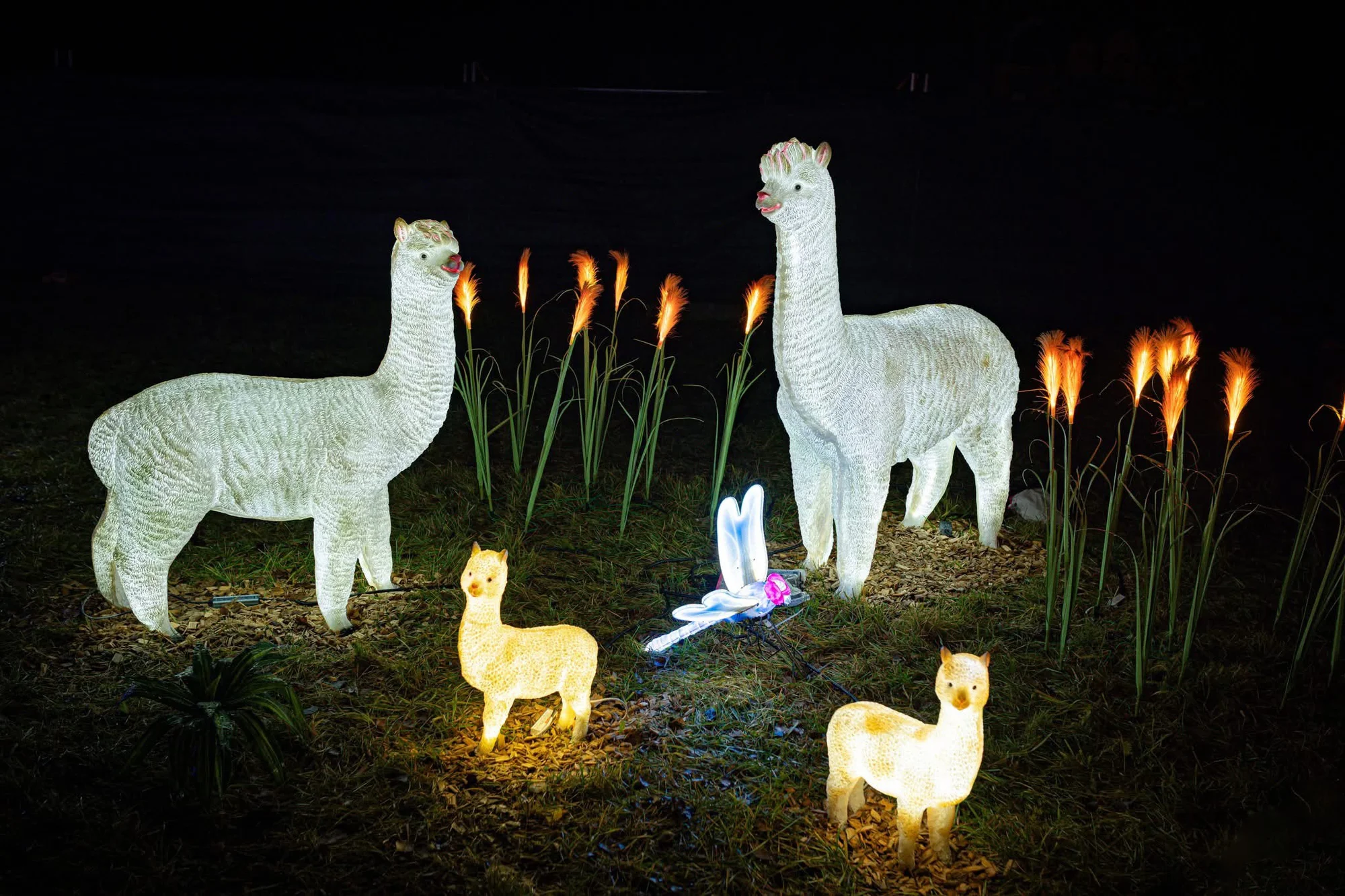 Vstupenky do Winter World: světelná pohádková zahrada, atrakce v ceně