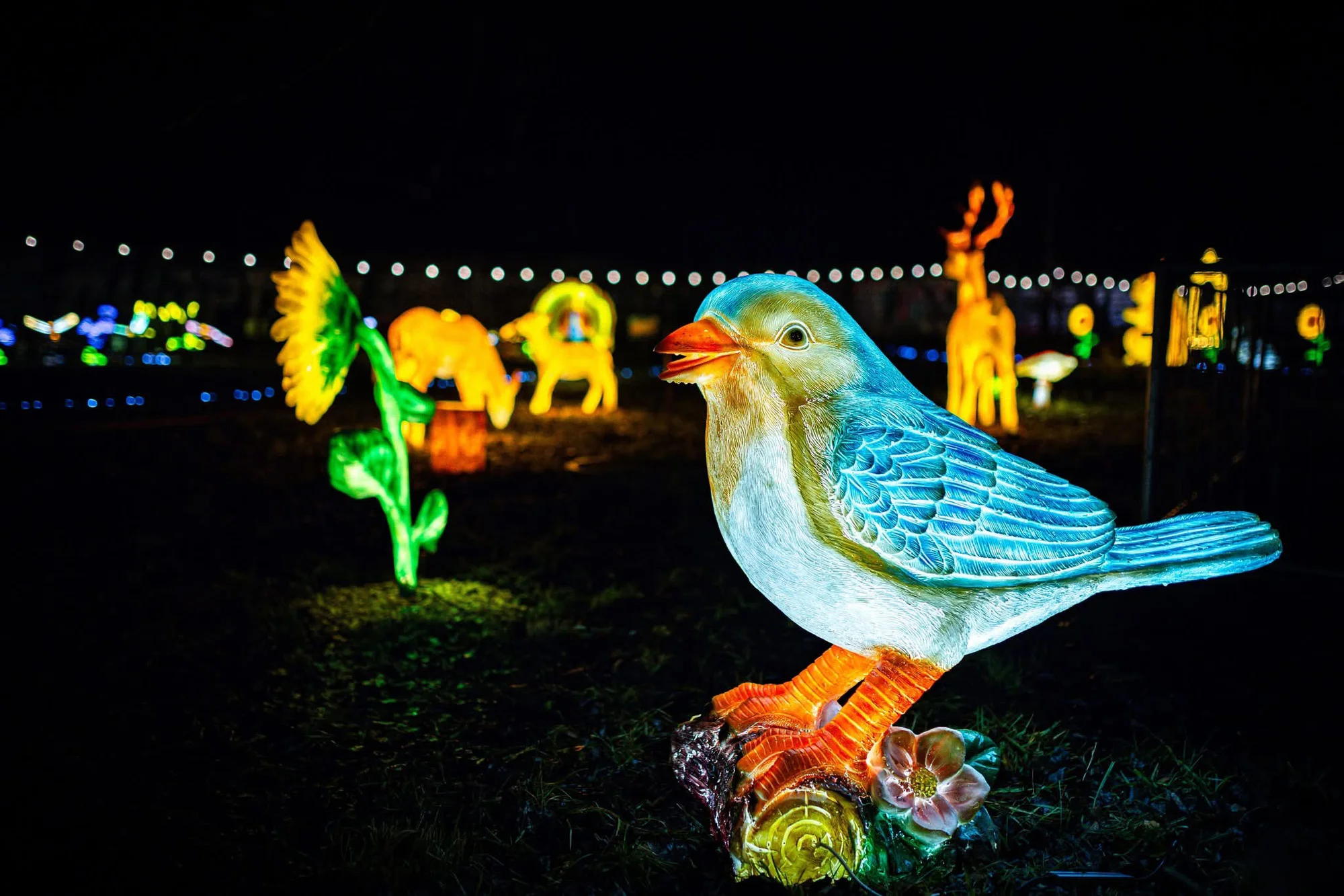 Vstupenky do Winter World: světelná pohádková zahrada, atrakce v ceně