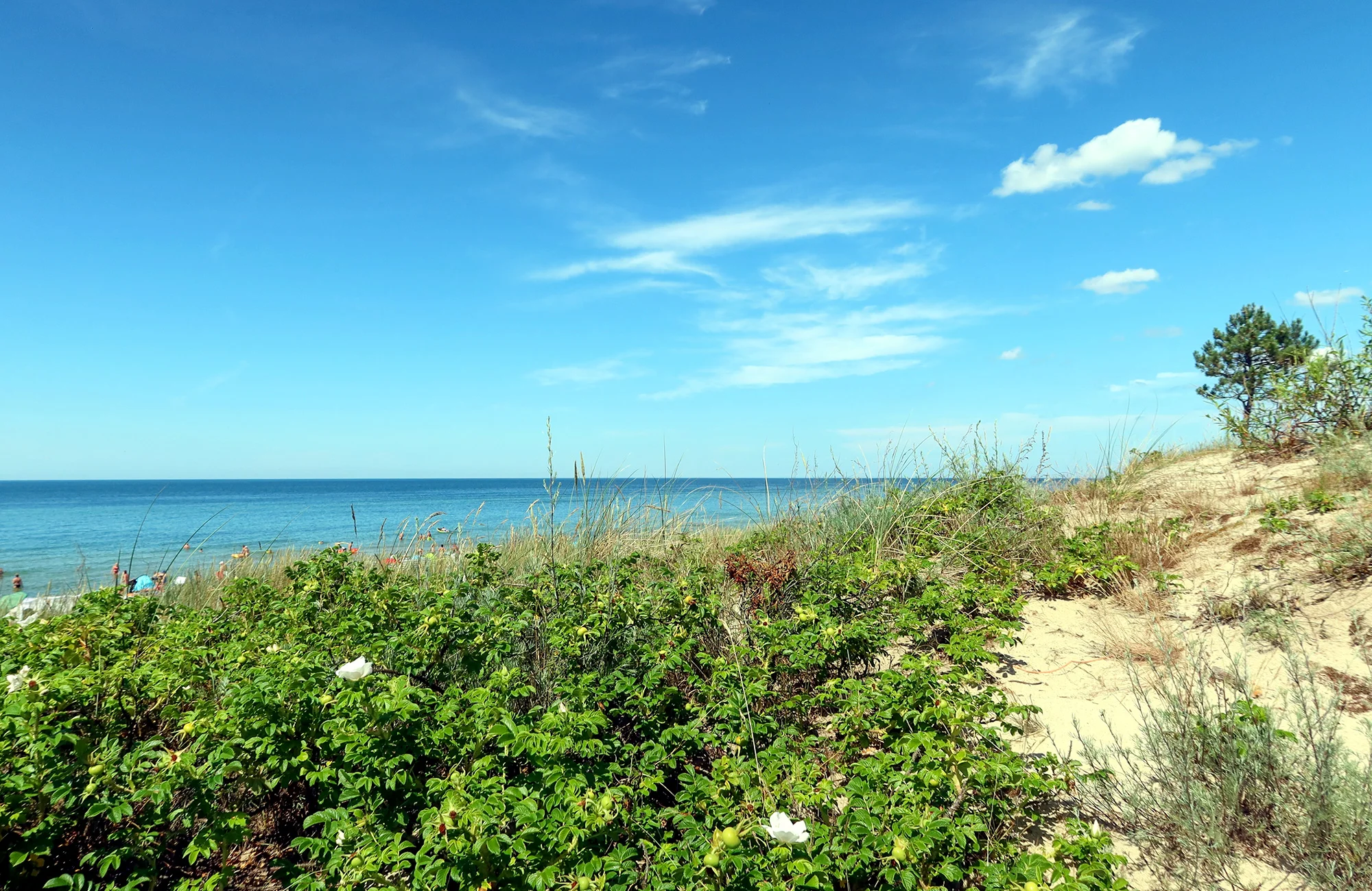 Moderní apartmány v severním Polsku: kousek od moře, neomezený wellness i možnost snídaní