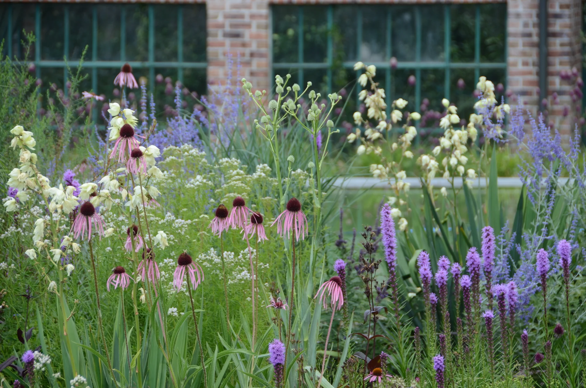Trvalkyum: chytrý online plánovač trvalkových záhonů pro malé i velké zahrady