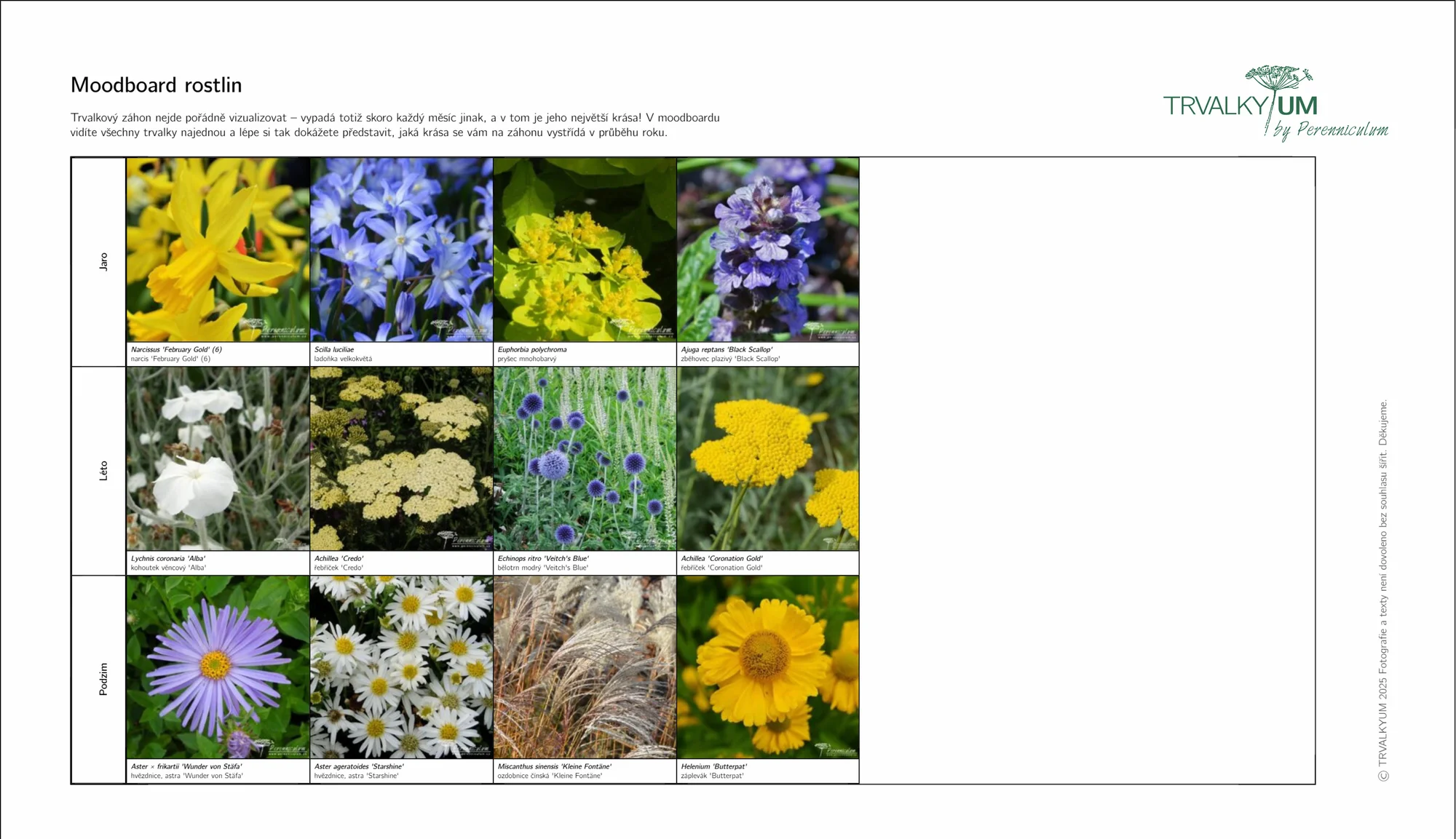 Trvalkyum: chytrý online plánovač trvalkových záhonů pro malé i velké zahrady