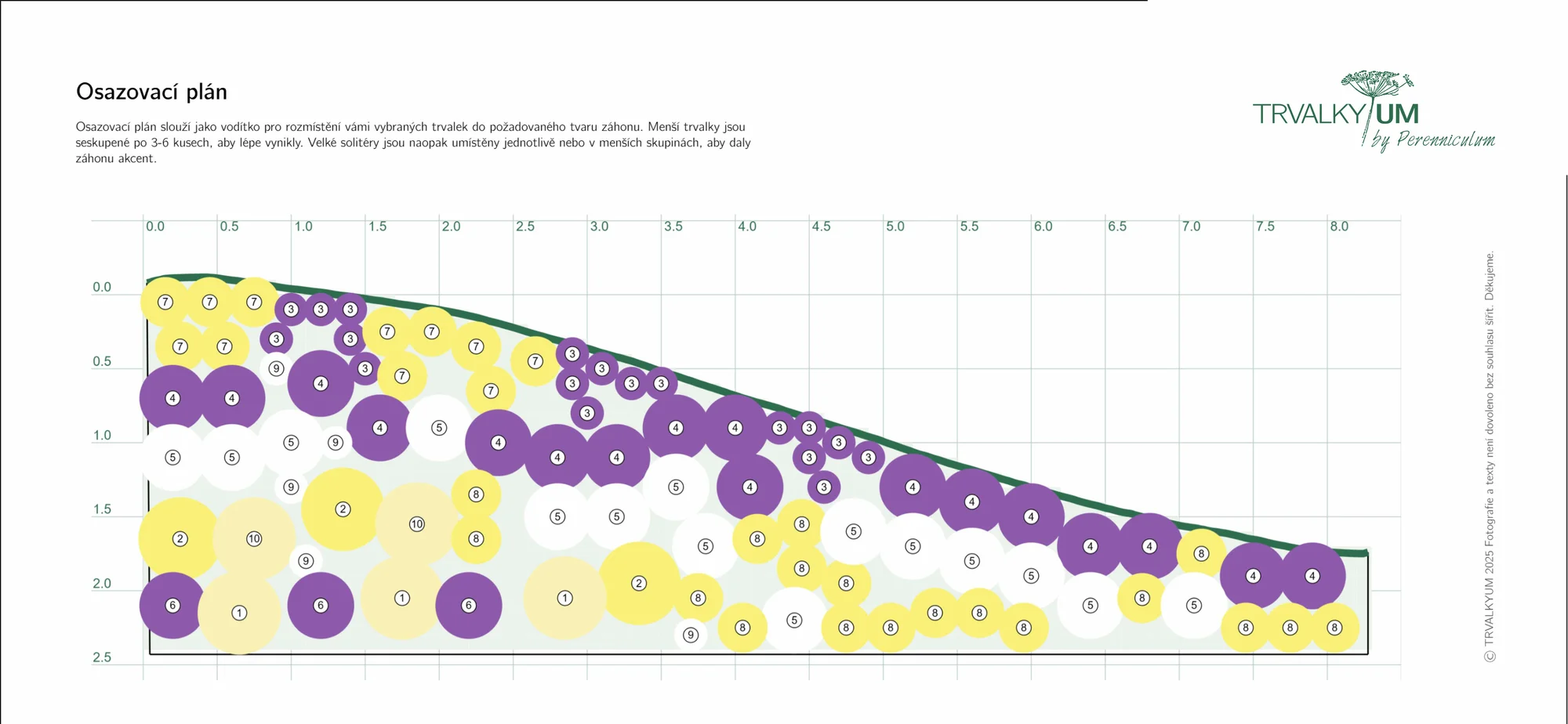 Trvalkyum: chytrý online plánovač trvalkových záhonů pro malé i velké zahrady