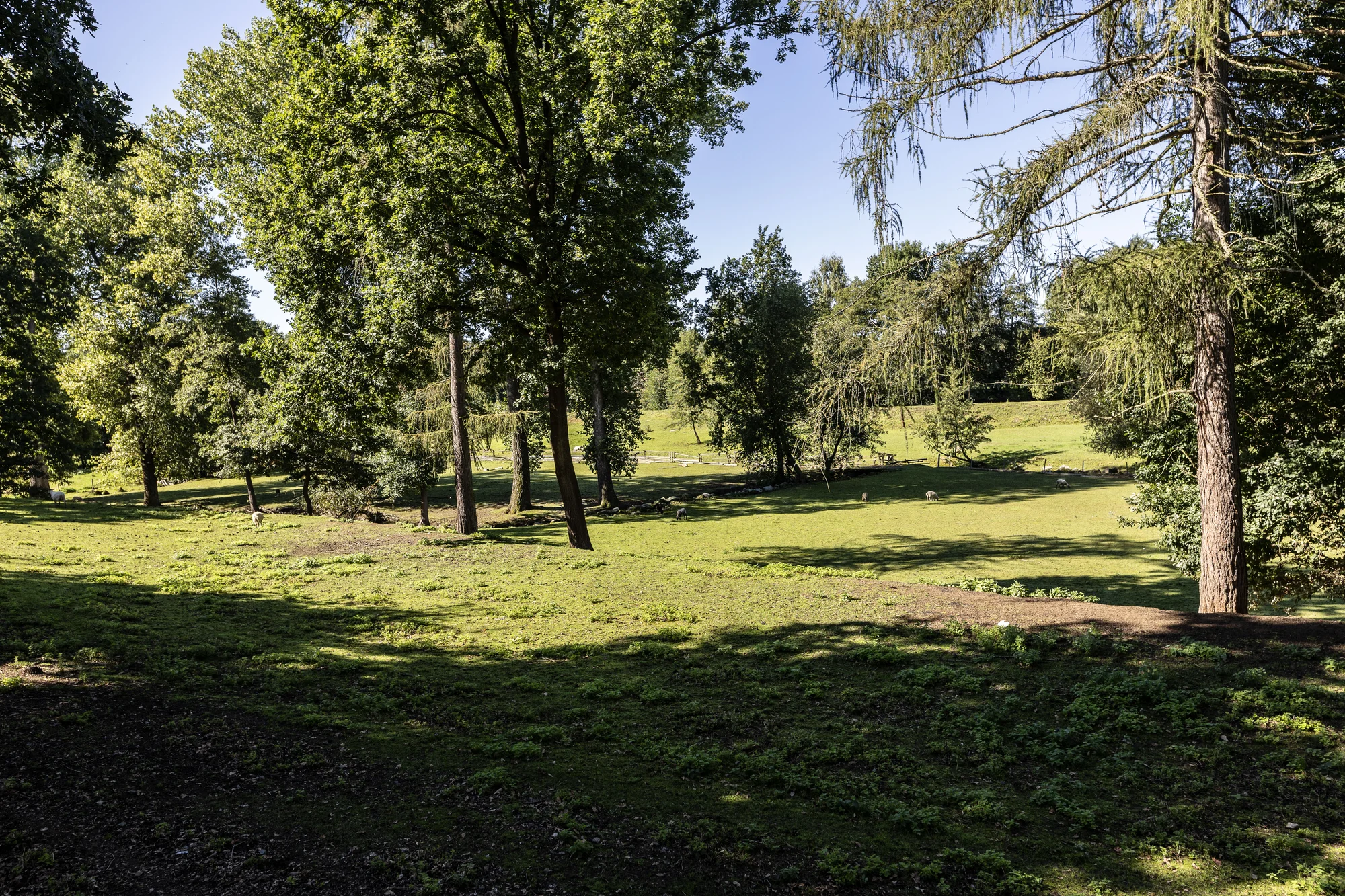 Pobyt v domku na stromě: úžasná romantika pro dva i nevšední zážitek pro děti